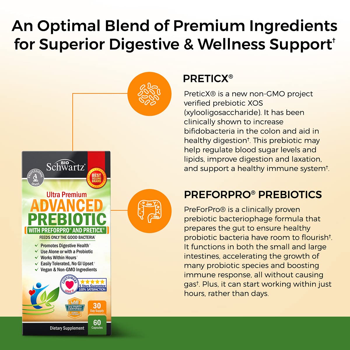 Prebiotics for Advanced Gut Health - Immune System Support & Dietary Fiber BioSchwartz
