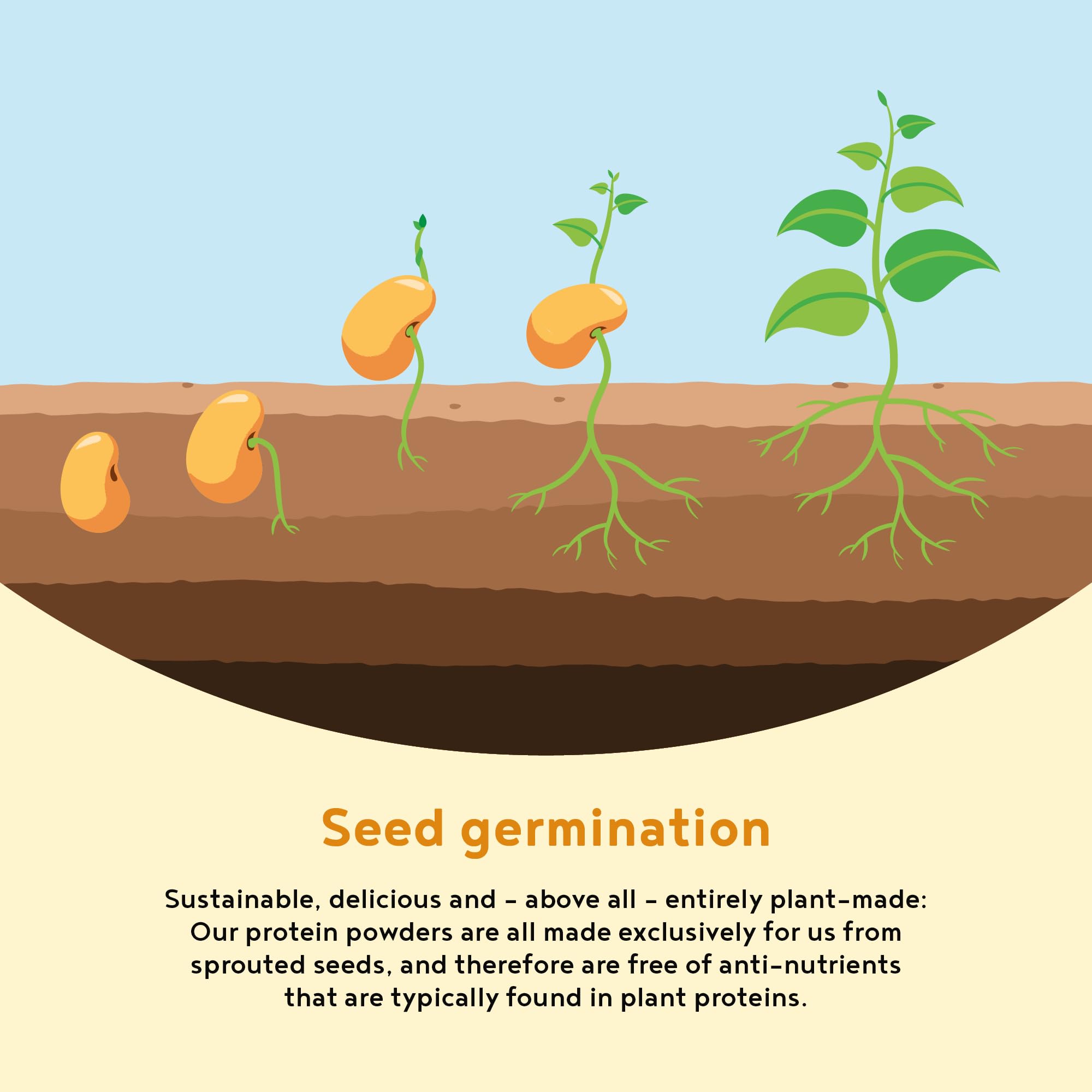 Vegan Protein Powder Vanilla - 1.2kg(80 servings) - 100% Plant Based Protein Powders