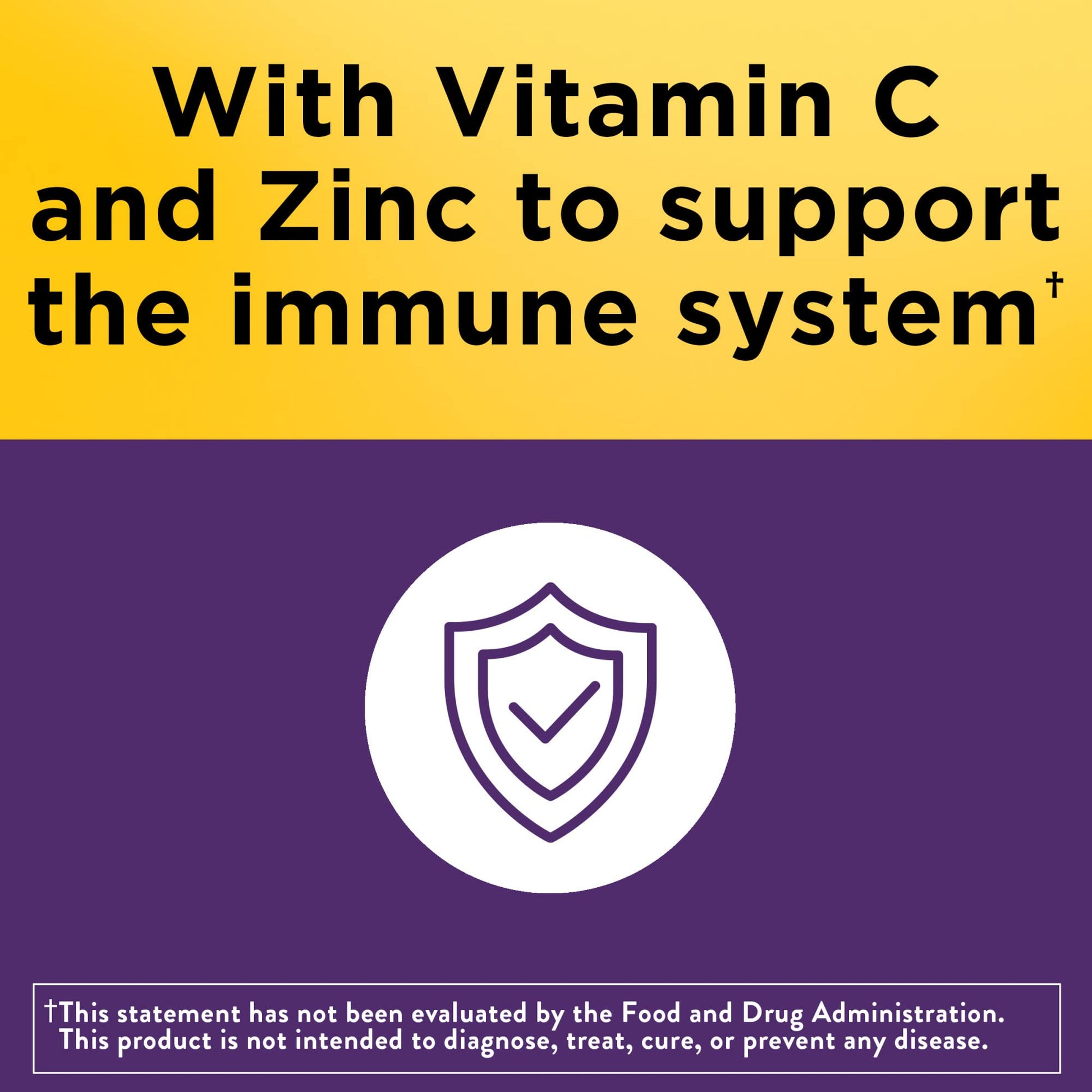 Nature Made Elderberry 400 mg Extract with Vitamin C and Zinc, Dietary Supplement Nature Made