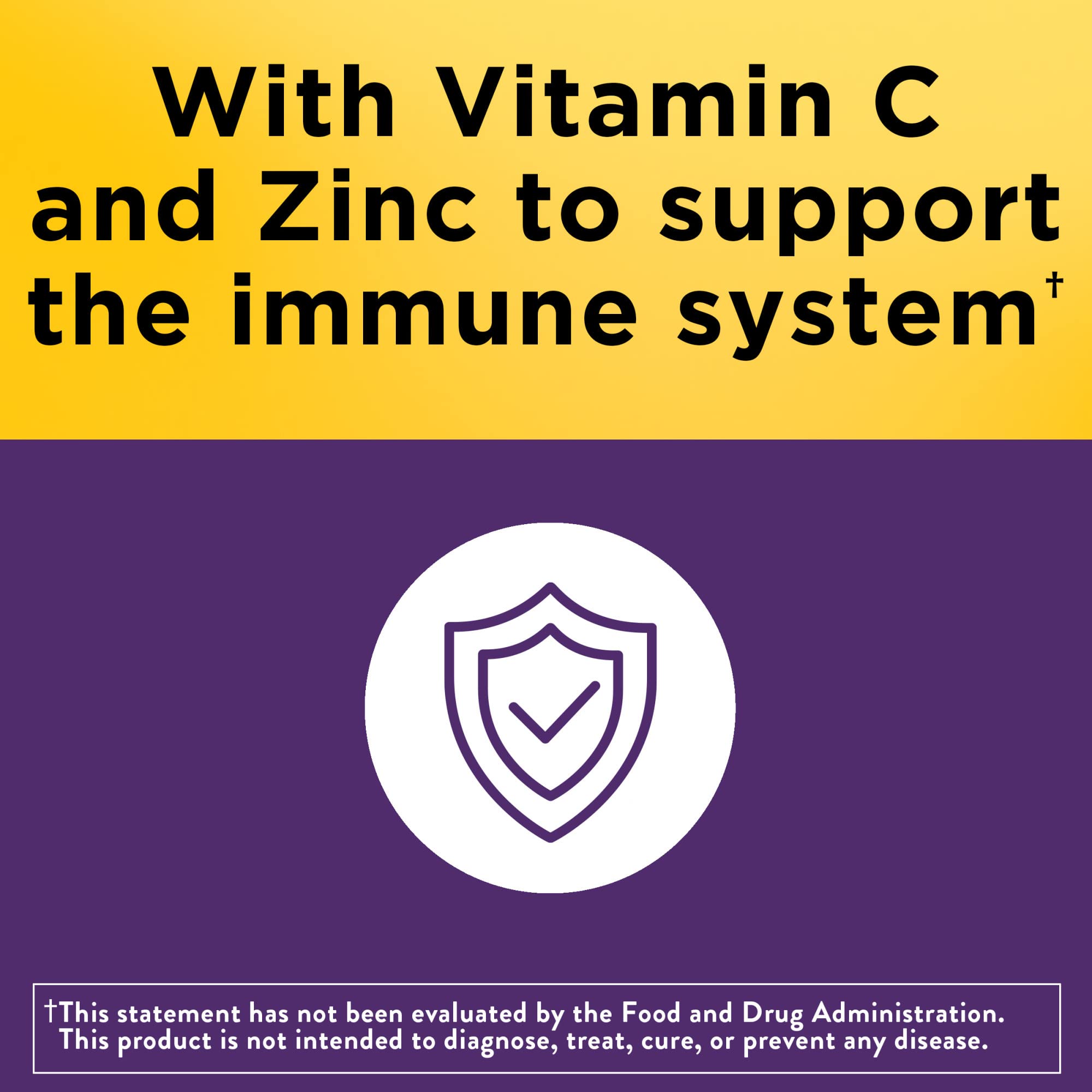 Nature Made Elderberry 400 mg Extract with Vitamin C and Zinc, Dietary Supplement Nature Made