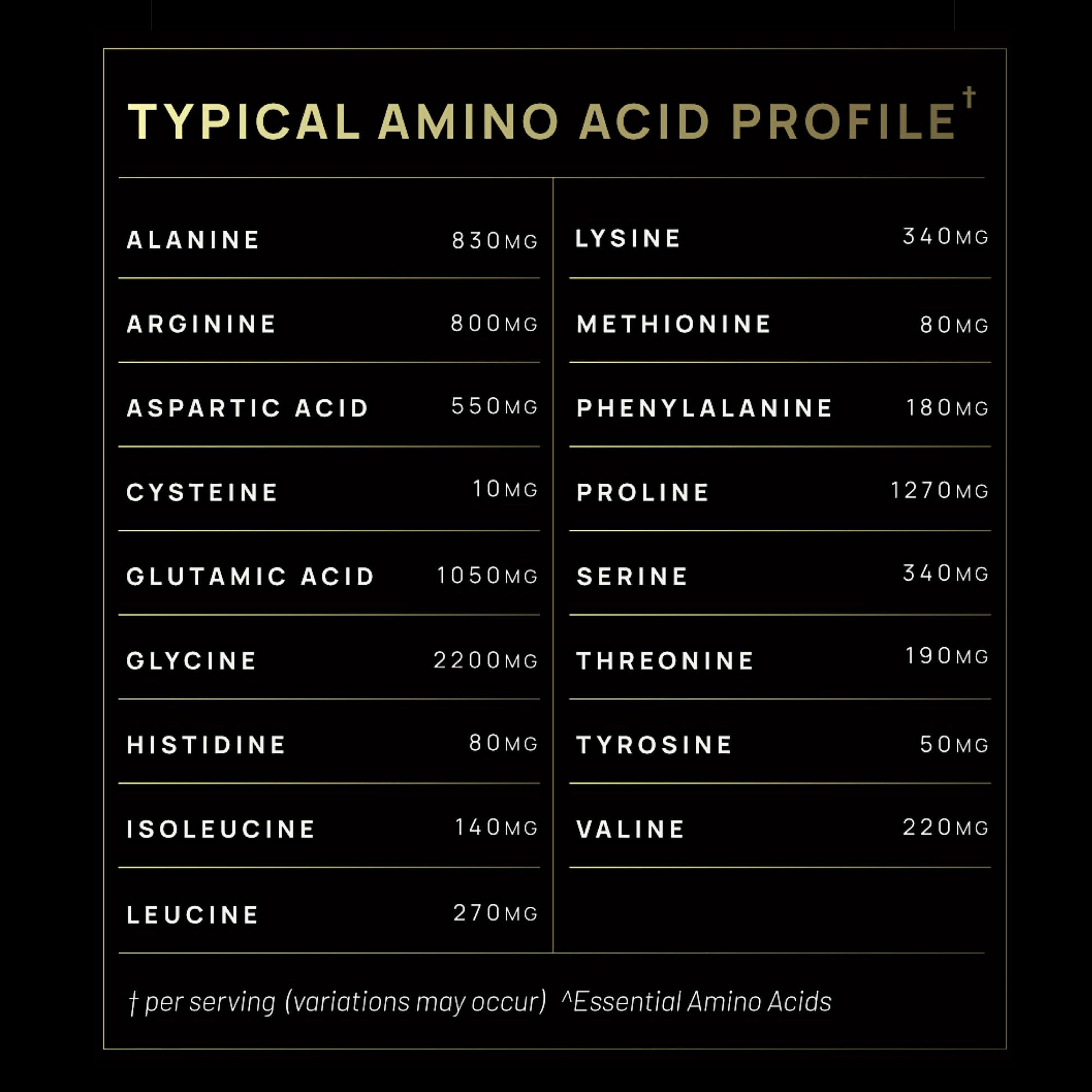 TERRA ELMNT Premium Chocolate Multi Collagen Powder for Women Weight Management TERRA ELMNT