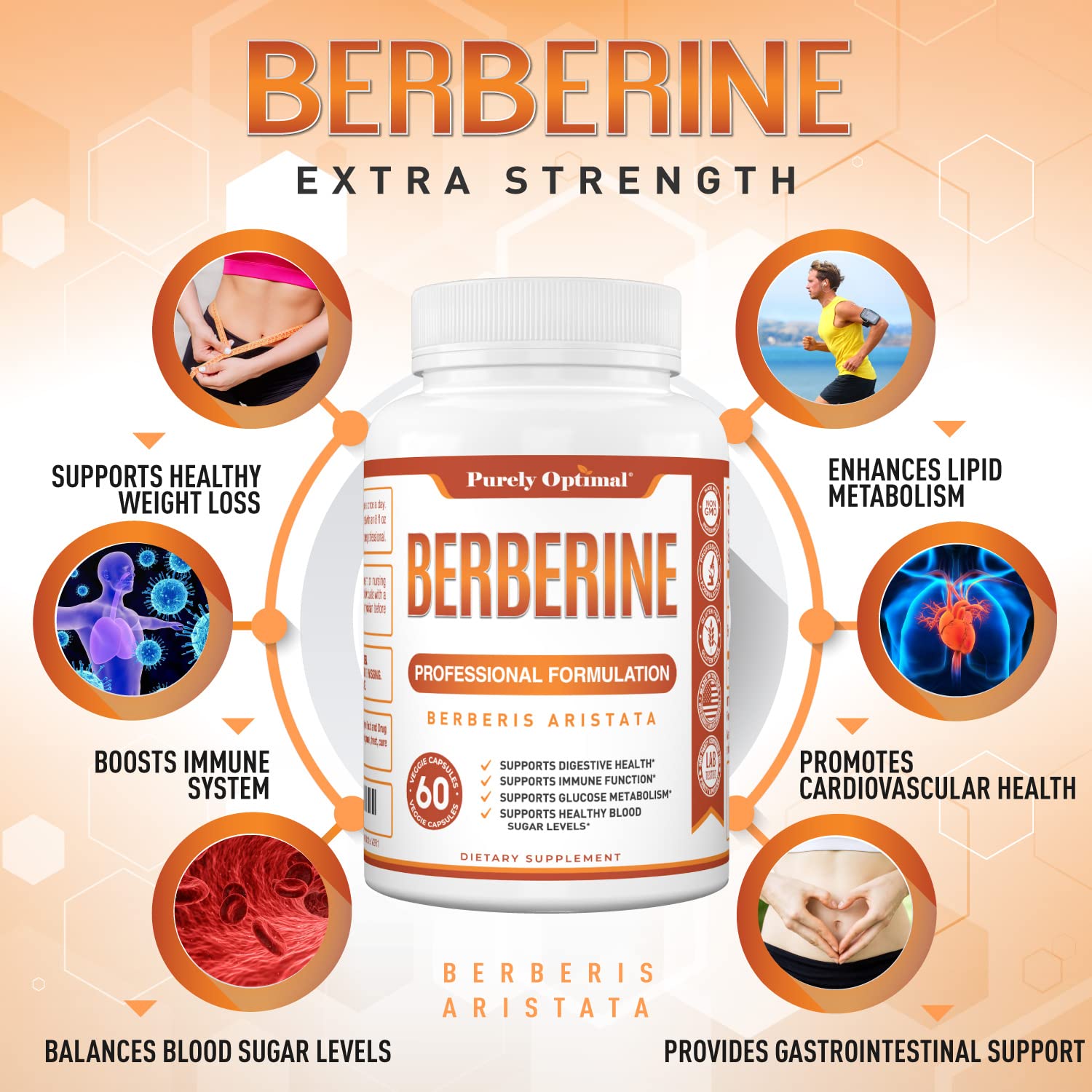 Purely Optimal Premium Berberine Supplement - 1200mg Berberine HCl, Non-GMO Purely Optimal