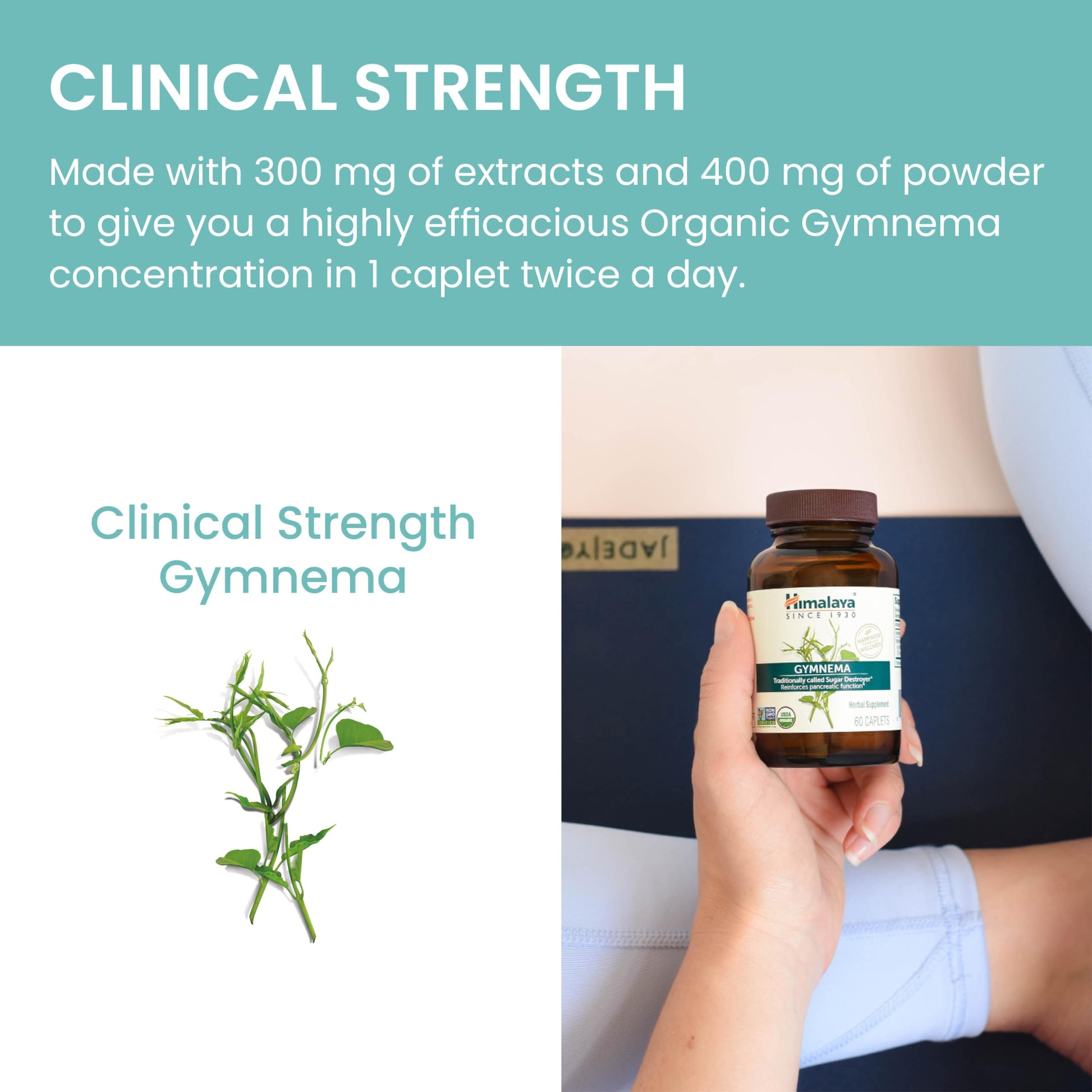 Himalaya Organic Gymnema Herbal Supplement for Weight Management, USDA Certified Himalaya