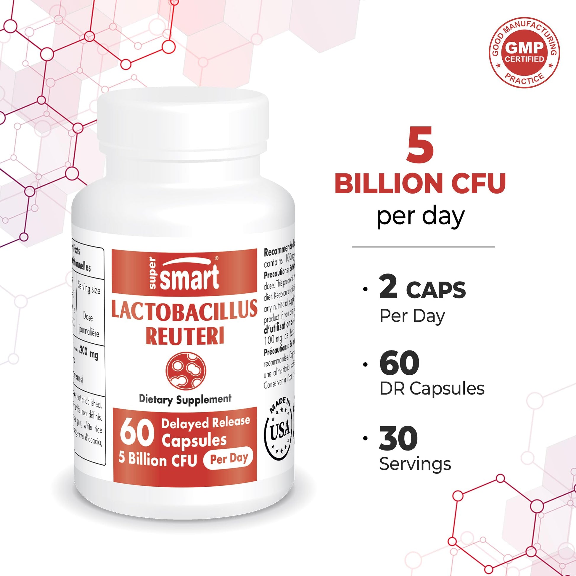 Supersmart - Lactobacillus Reuteri 5 Billion CFU per Day (Probiotic Supplement) Supersmart