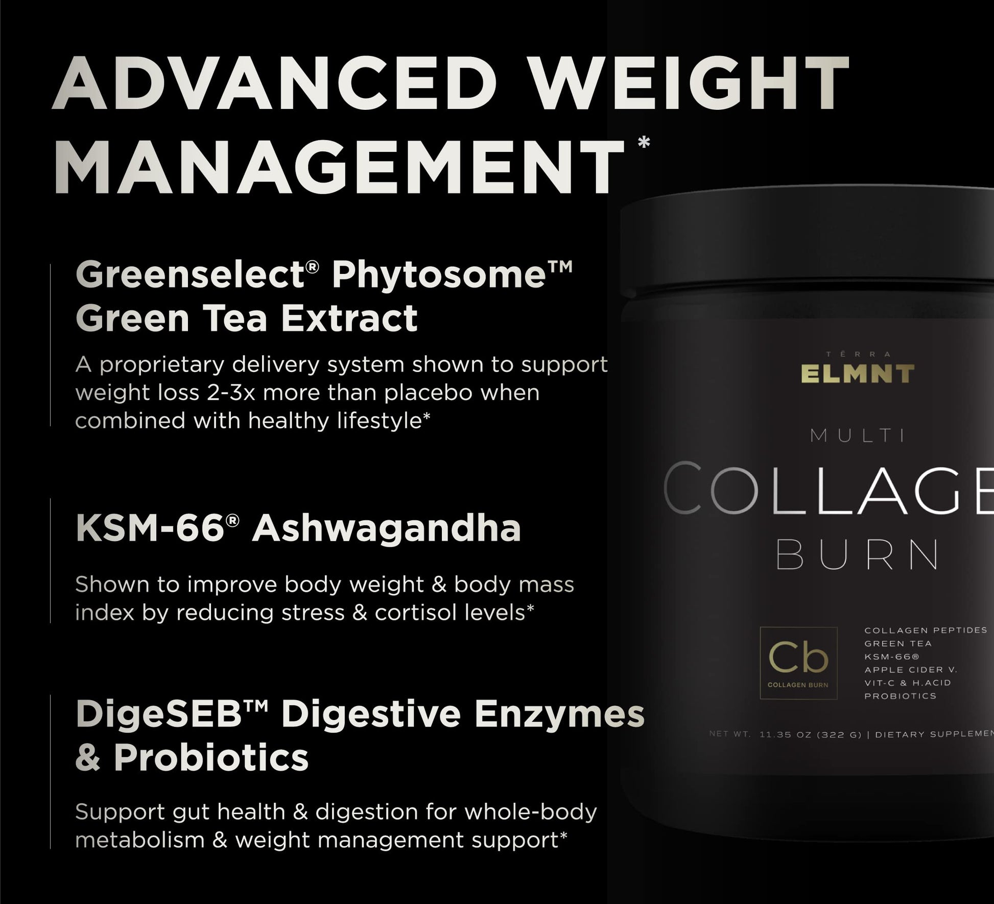 TERRA ELMNT Premium Chocolate Multi Collagen Powder for Women Weight Management TERRA ELMNT