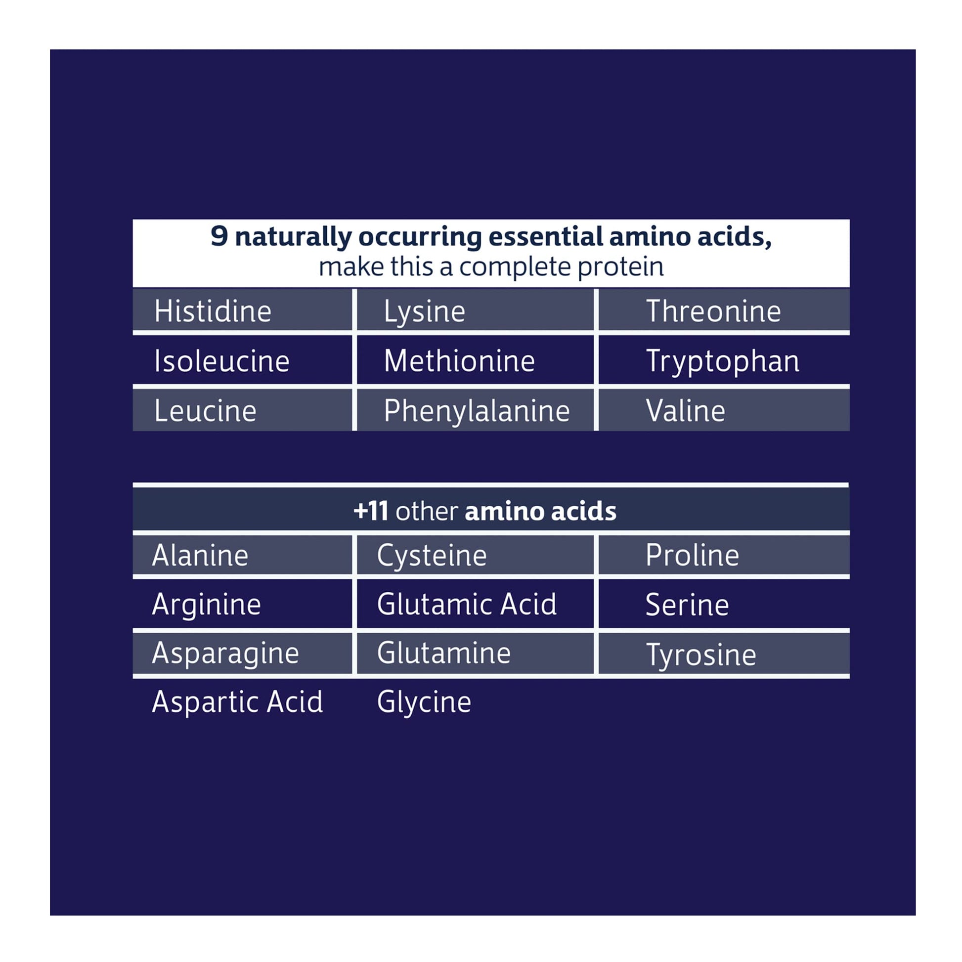 Biochem 100% Whey Sugar-Free Vanilla 20g, 11.8oz, Certified Vegetarian, Certified Gluten Biochem