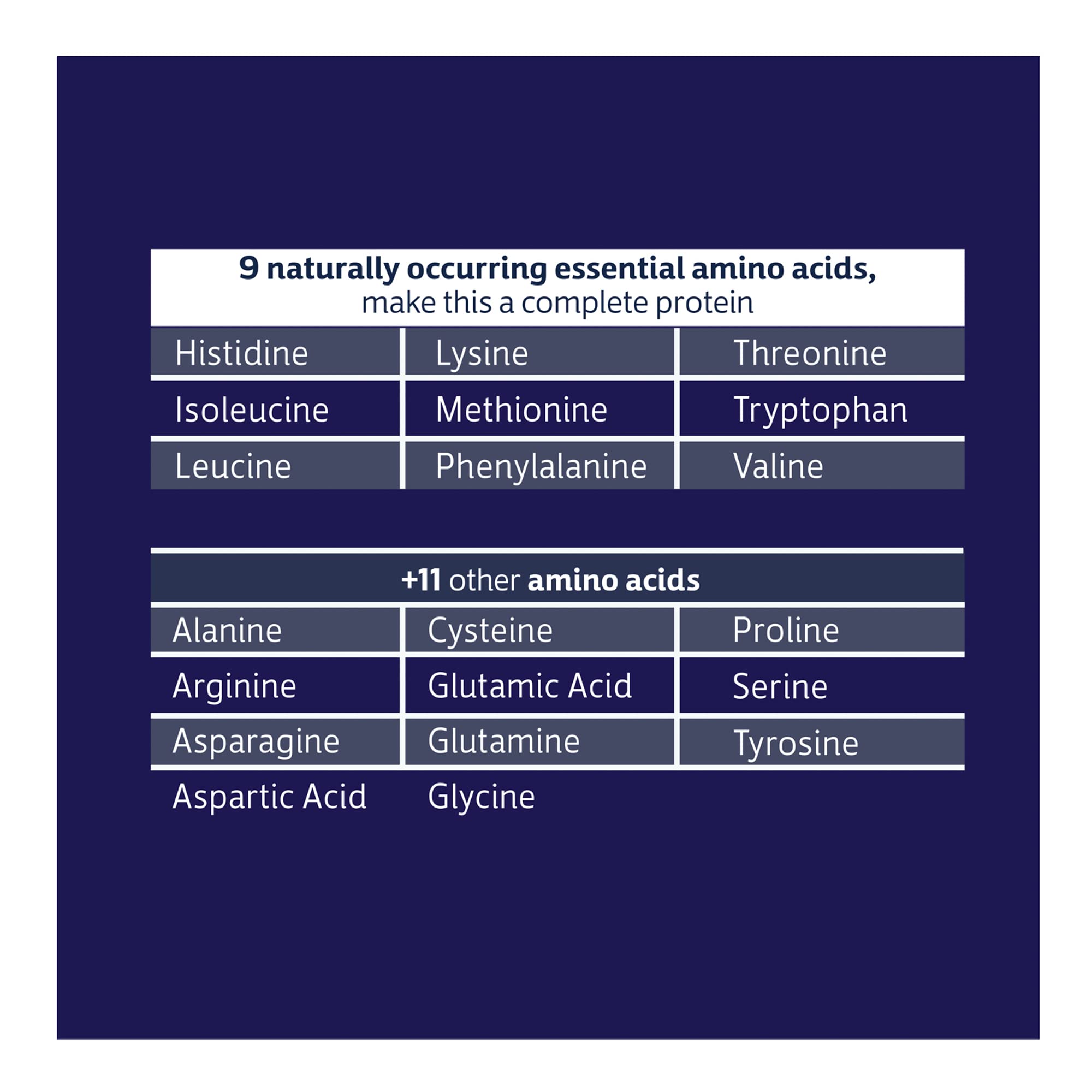 Biochem 100% Whey Sugar-Free Vanilla 20g, 11.8oz, Certified Vegetarian, Certified Gluten Biochem