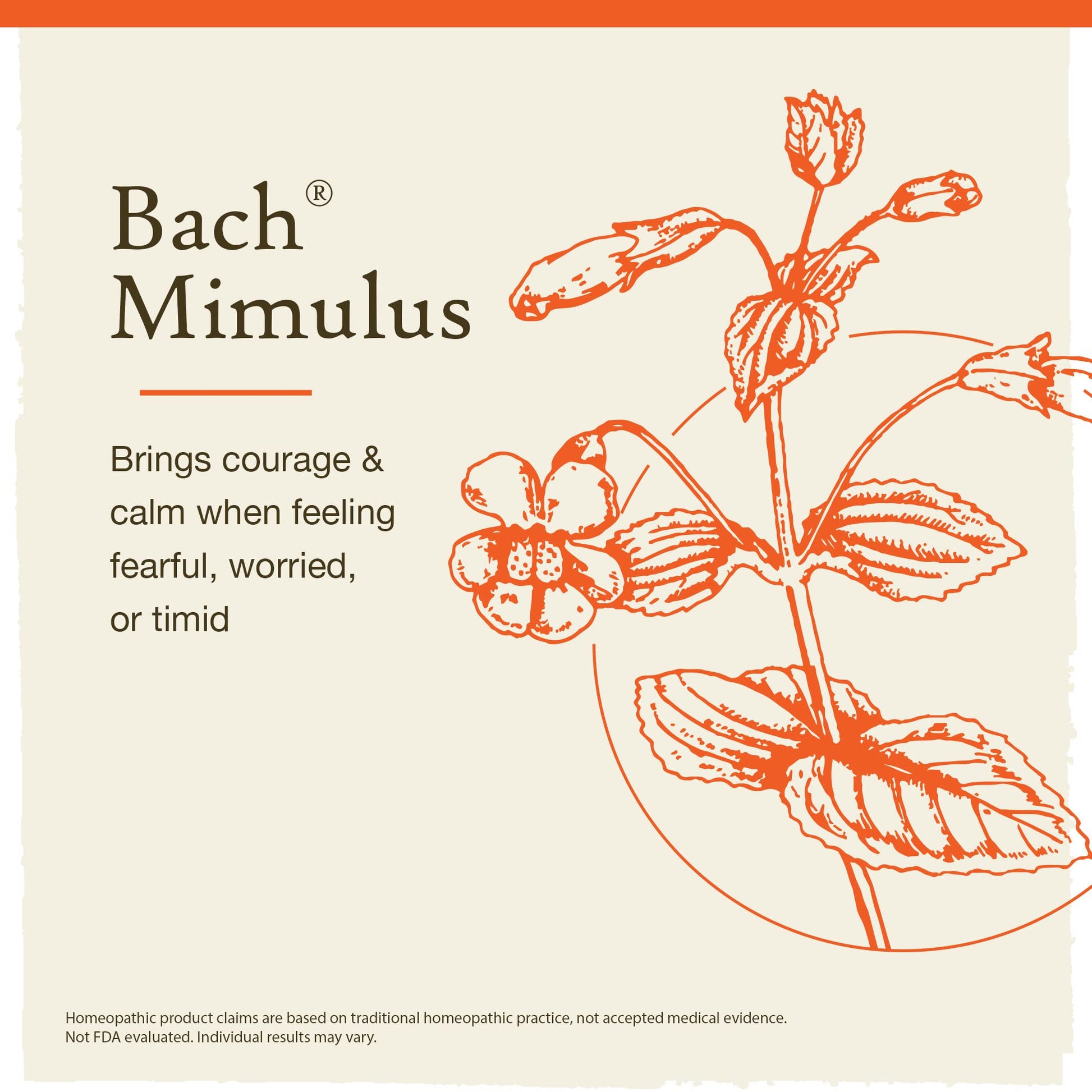 Bach Original Flower Remedies, Mimulus for Facing Fears (Non-Alcohol Formula), Natural Homeopathic Bach