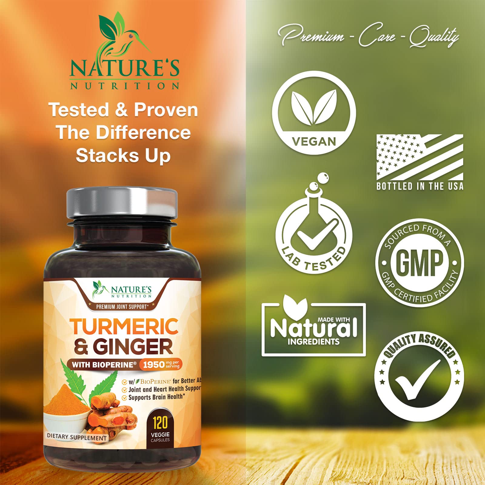 Turmeric Curcumin with BioPerine & Ginger 95% Standardized Curcuminoids