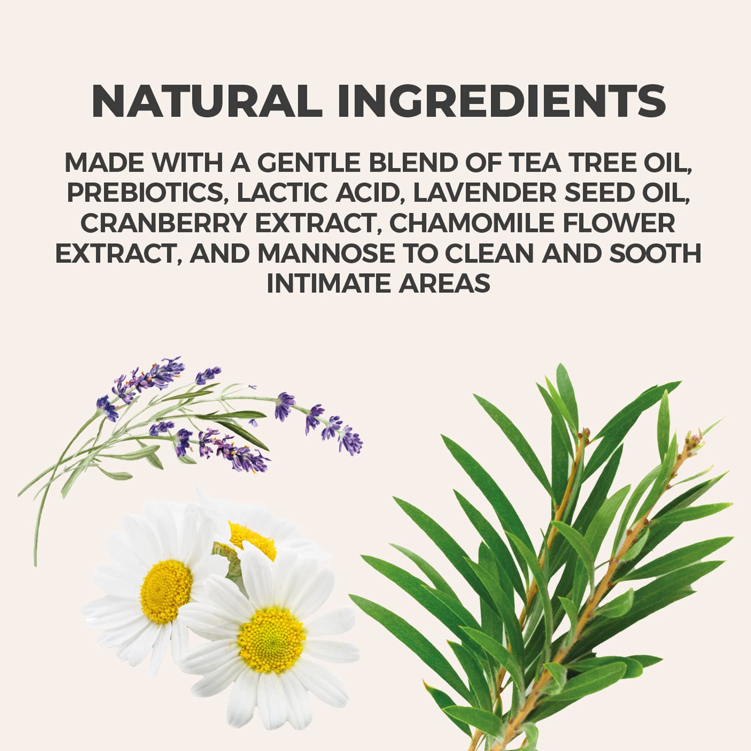 NewLife Naturals Daily Feminine Wash for pH Balance and Odor Control for Feminine Hygiene Intimate Wash NewLife Naturals