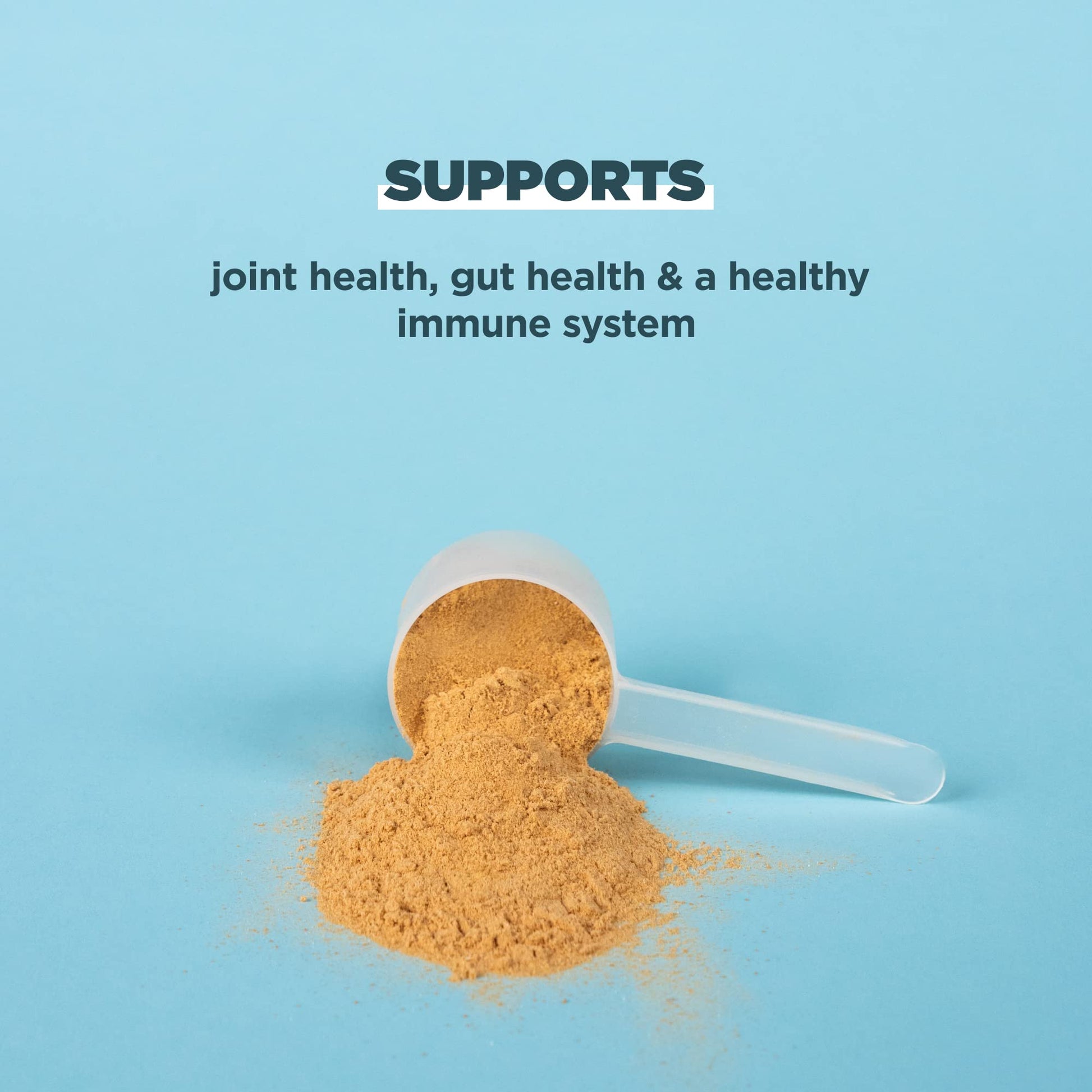 Ancient Nutrition Bone Broth Protein Powder, Salted Caramel, 19g Protein per Serving Ancient Nutrition