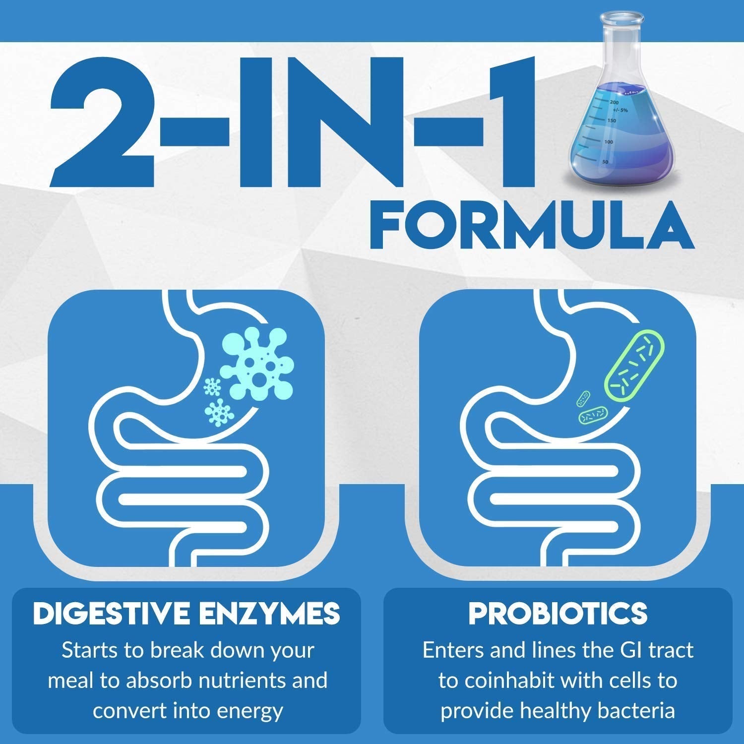 Instant Digest Complete 2-in-1 Probiotic Digestive Enzymes, 60 Capsules Instant Brands