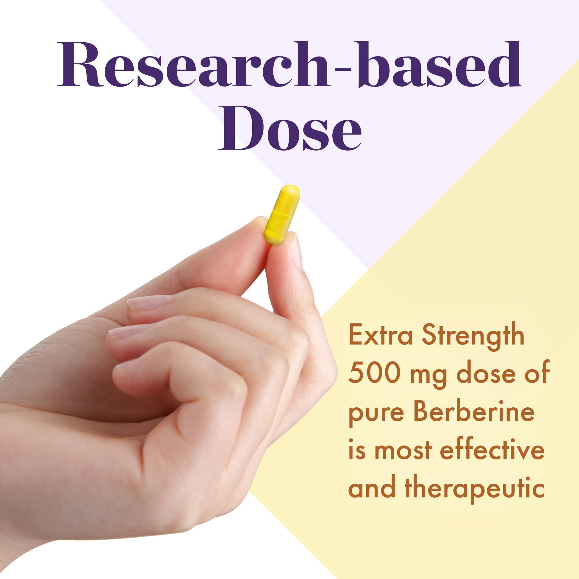 NAOMI Berberine 500mg - Immune Support & Normal LDL Cholesterol and Triglyceride NAOMI