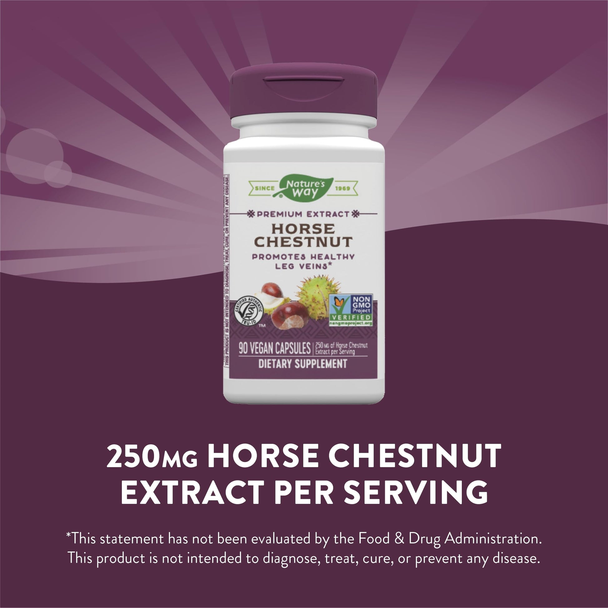 Nature's Way Standardized Horse Chestnut, Premium Extract for Healthy Veins and Blood Nature's Way