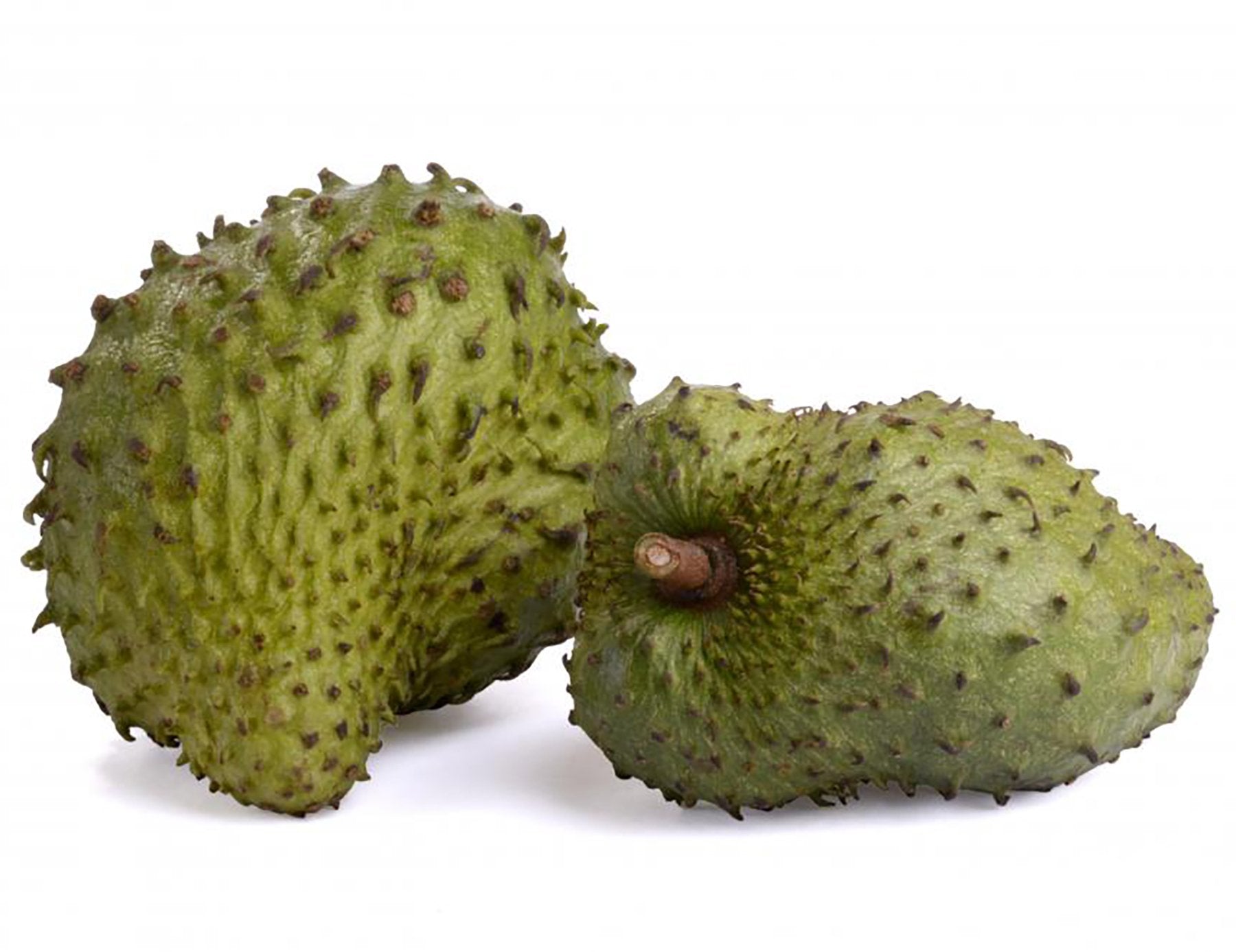 Organic Graviola Liquid Soursop Extract 4 oz Wildcrafted Tincture My Store