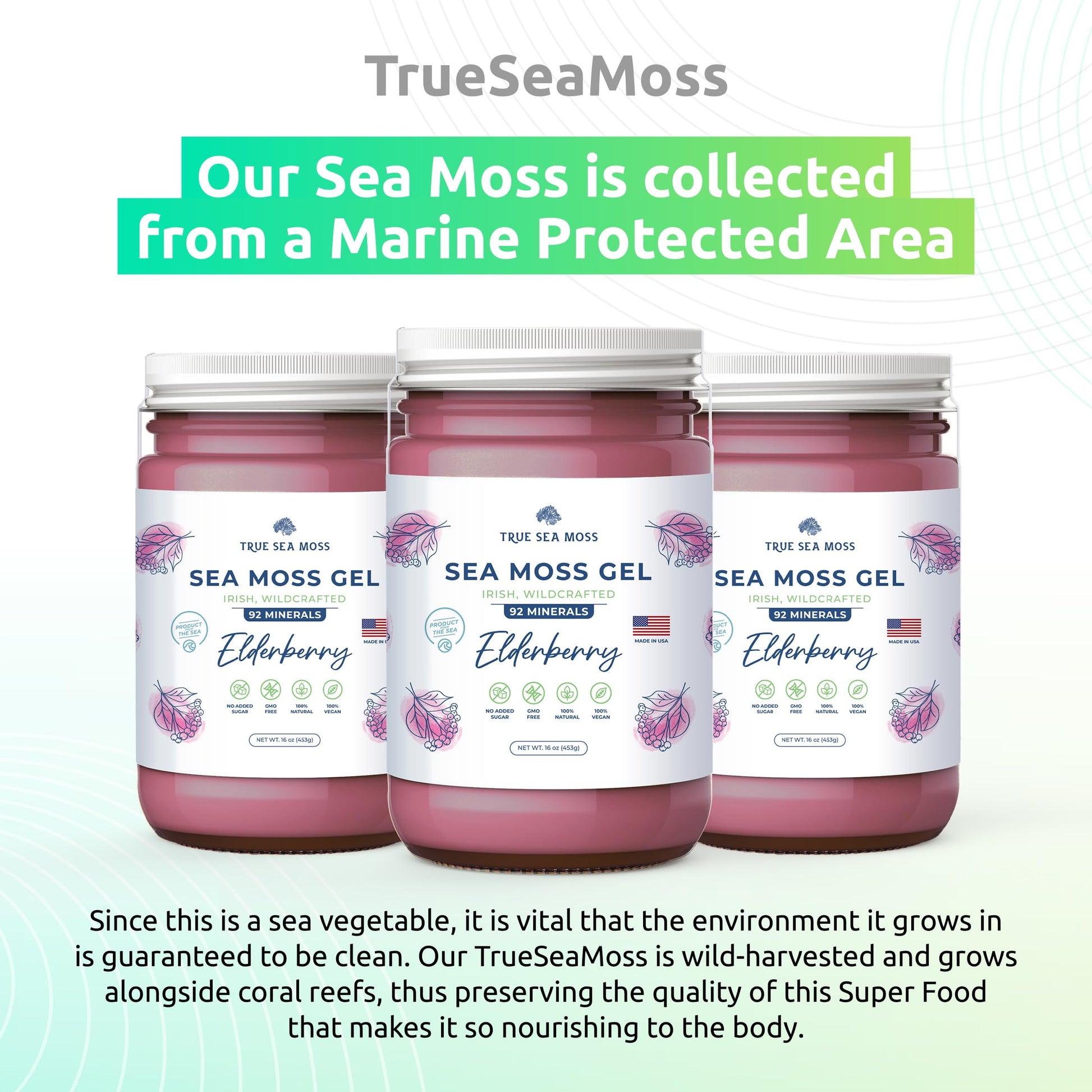 TrueSeaMoss Wildcrafted Irish Sea Moss Gel – Nutritious Organic Raw Seamoss Rich TrueSeaMoss