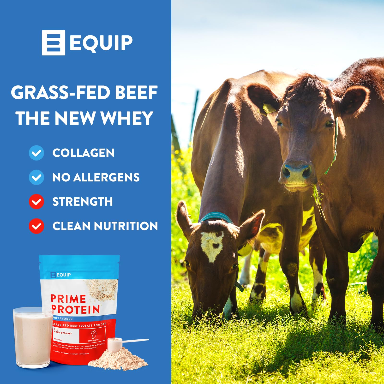 Equip Foods Prime Protein - Grass Fed Beef Protein Powder Isolate - Paleo and Keto Friendl Equip
