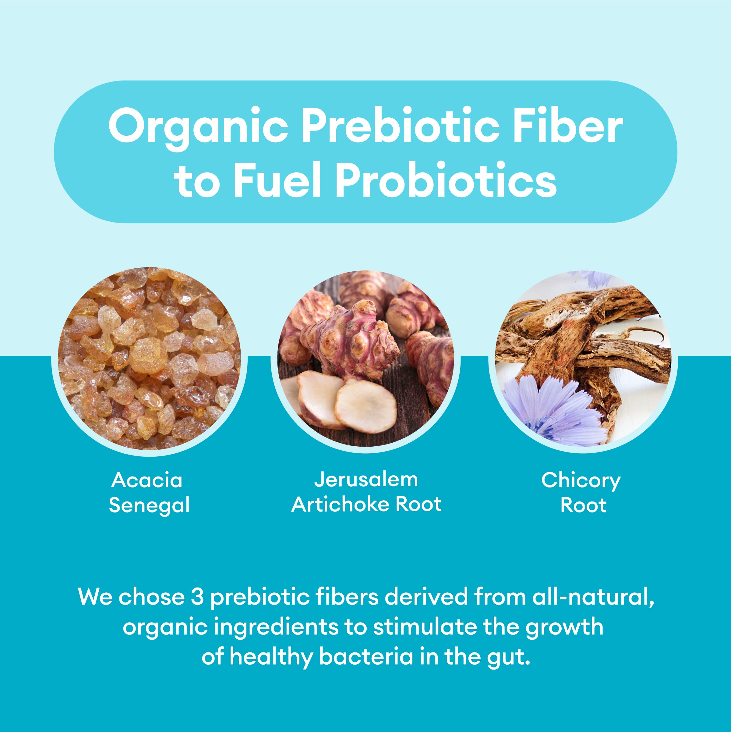 Physician's CHOICE Probiotics 60 Billion CFU - 10 Strains + Organic, 60ct