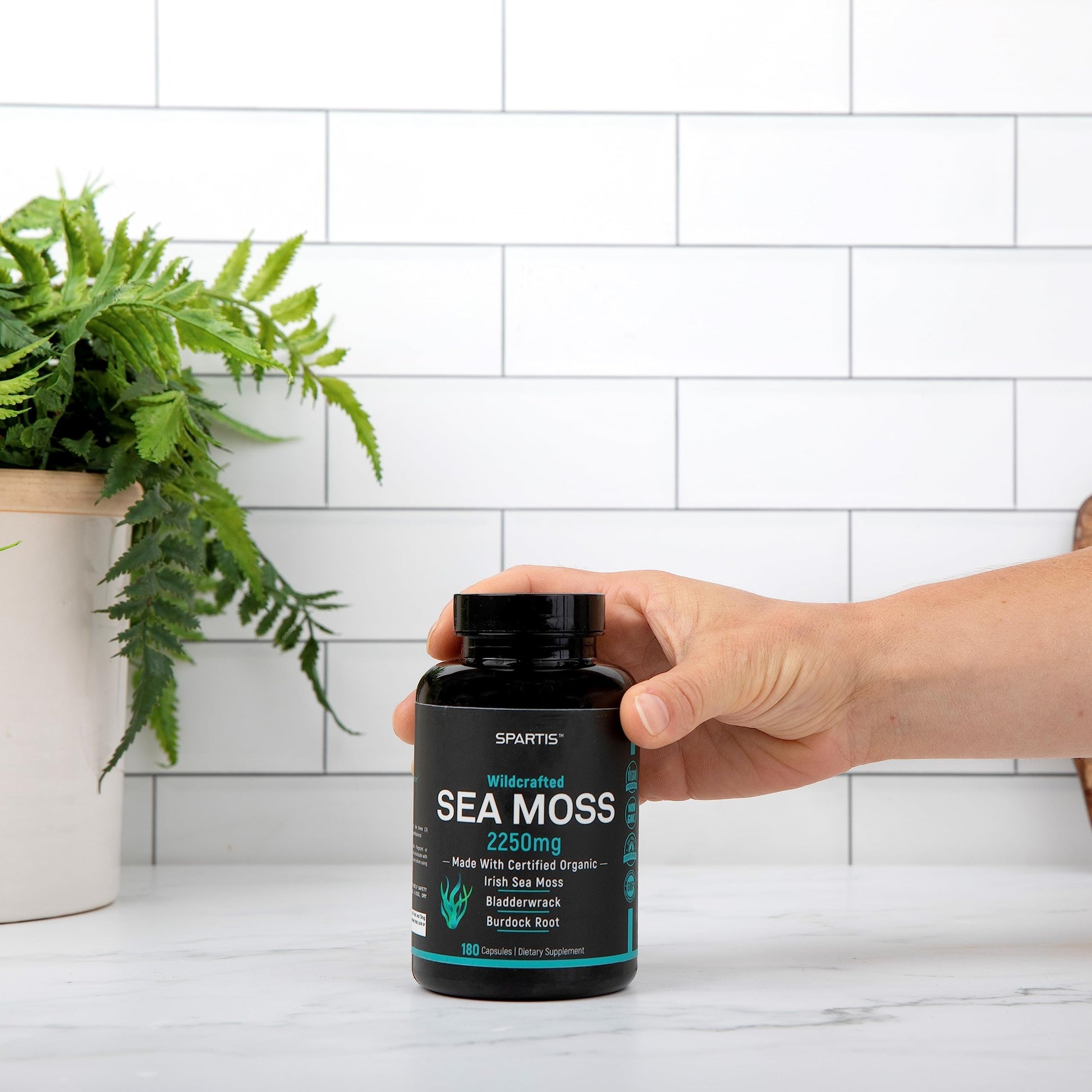 Certified Organic Sea Moss Capsules 2250mg Wildcrafted Irish Sea Moss Burdock Root SPARTIS