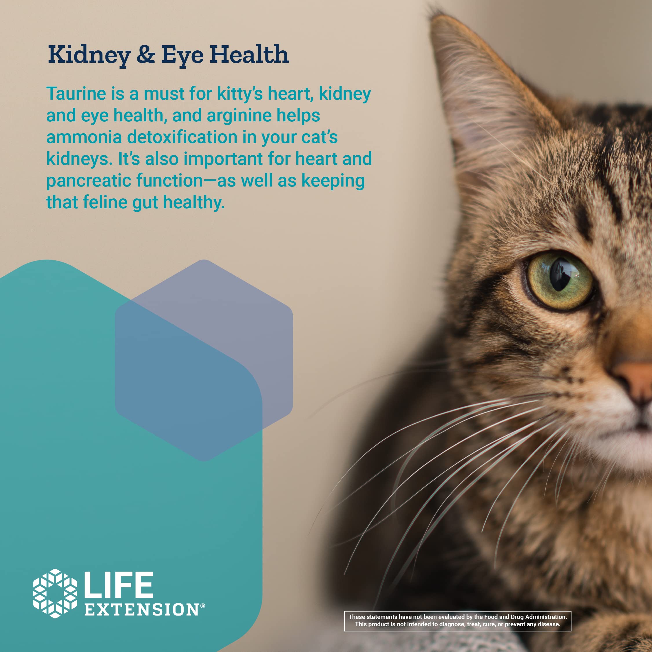 Life Extension Cat Mix – For Heart, Kidney & Pancreatic Function + Gut Health