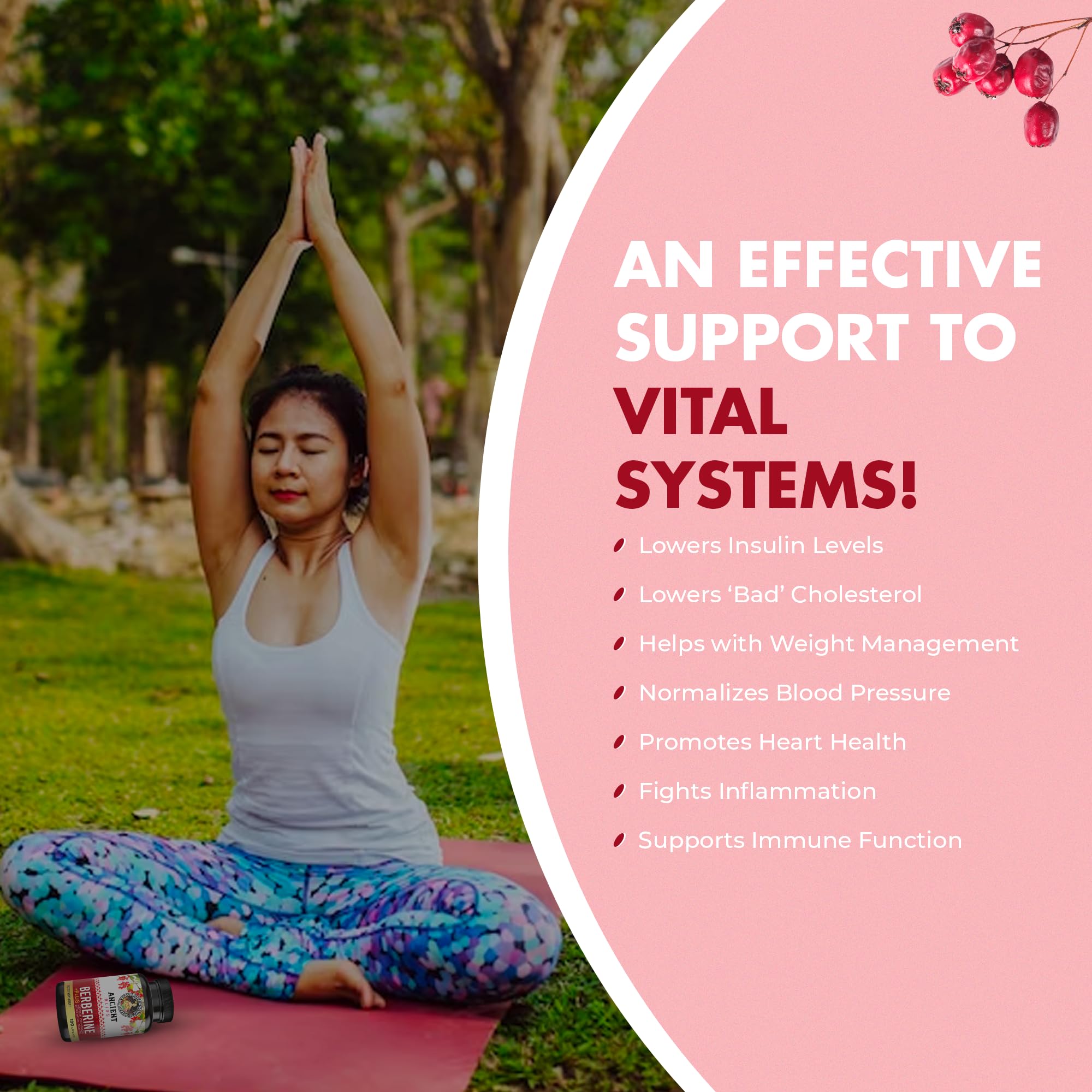 Ancient Bliss Berberine HCL 1200mg with Ceylon Cinnamon, Bitter Melon, and Green Tea Ancient Bliss