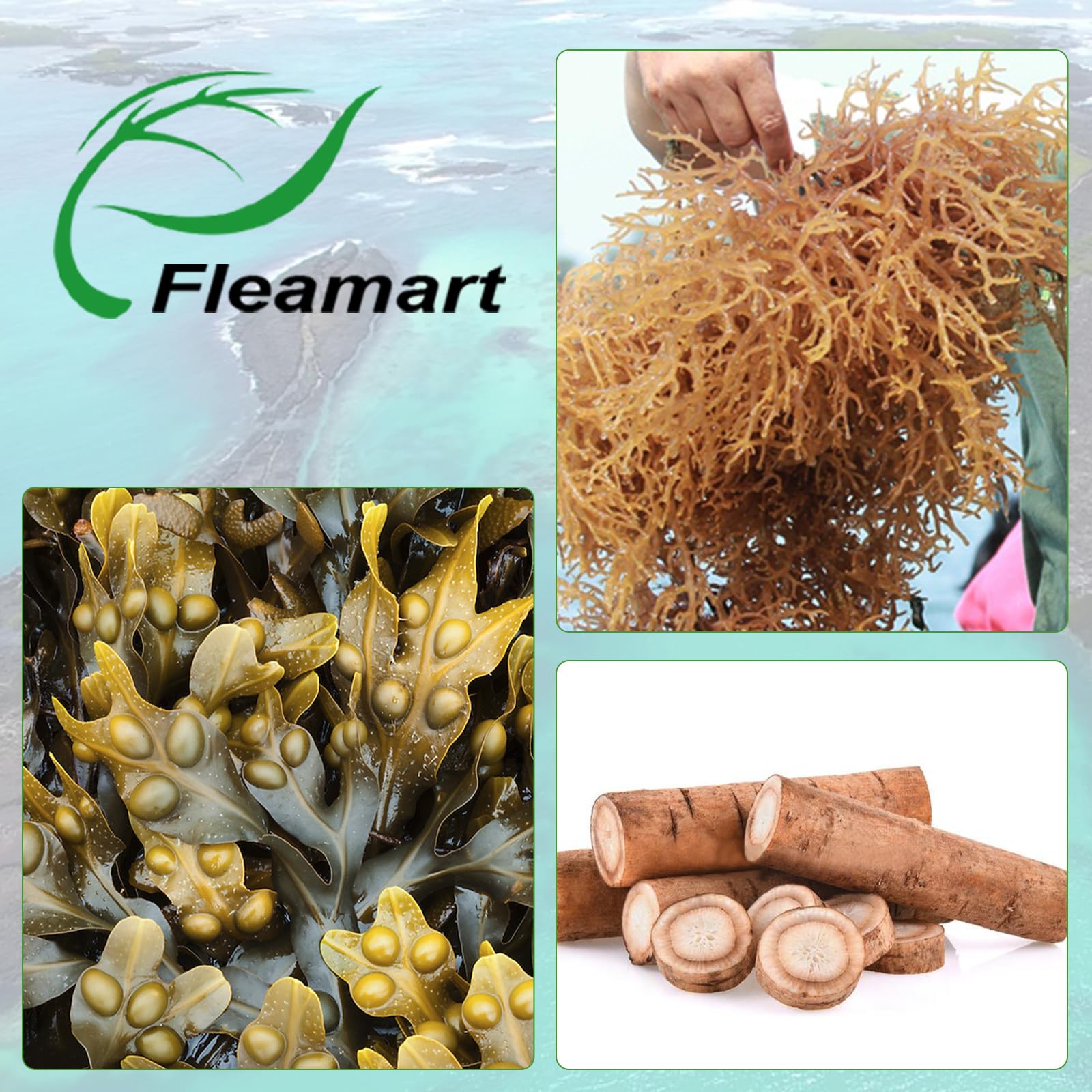 Fleamart Irish Sea Moss Capsules 120ct Raw Organic Sea Moss Wildcrafted Bladderwrack Fleamart