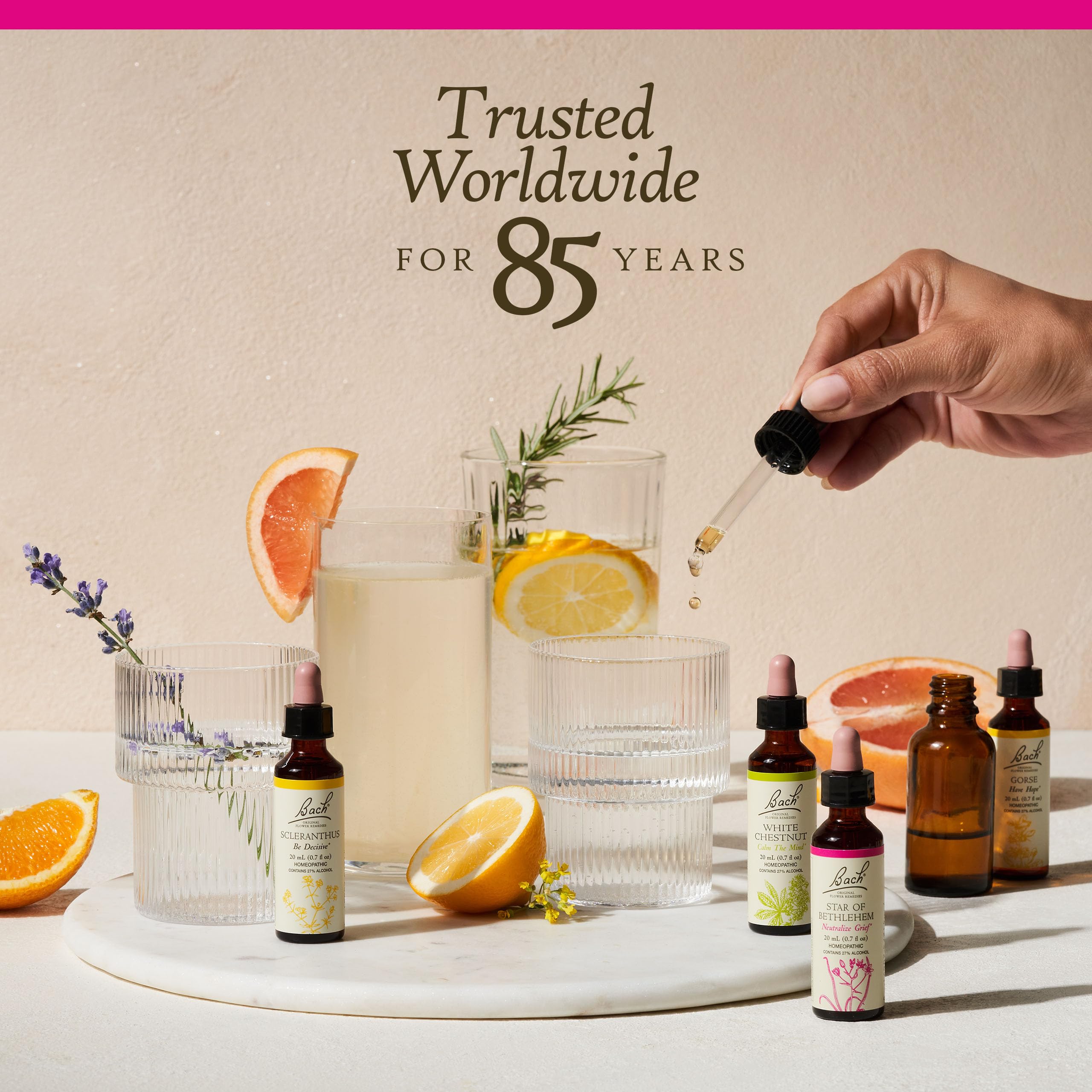 Bach Original Flower Remedies, Pine for Self Respect, Natural Homeopathic Flower Essence Bach