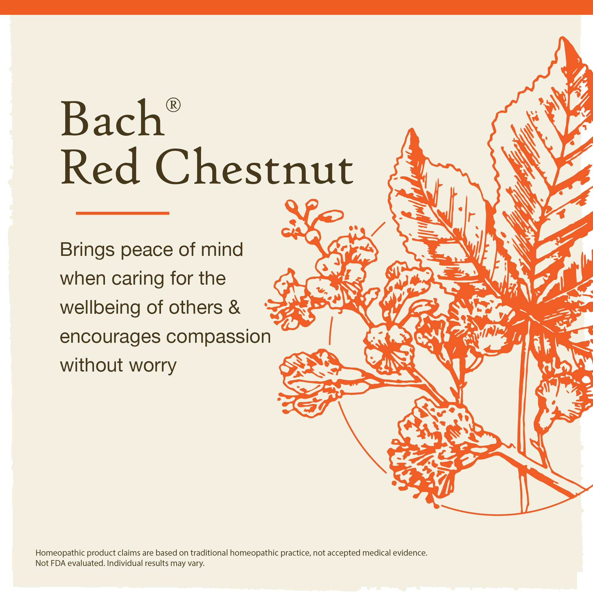 Bach Original Flower Remedies, Red Chestnut for Peace of Mind (Non-Alcohol Formula) Bach
