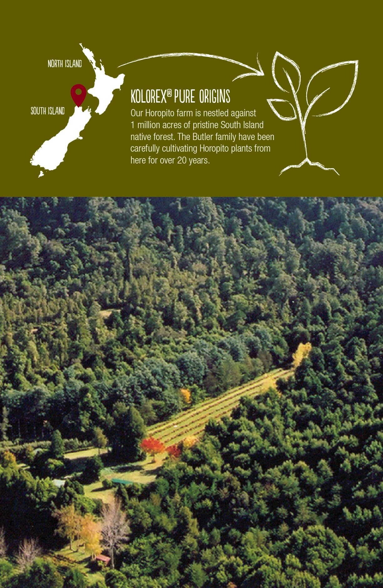 Kolorex Gut Care Candida Balance (Advanced Candida Care) 60ct Kolorex