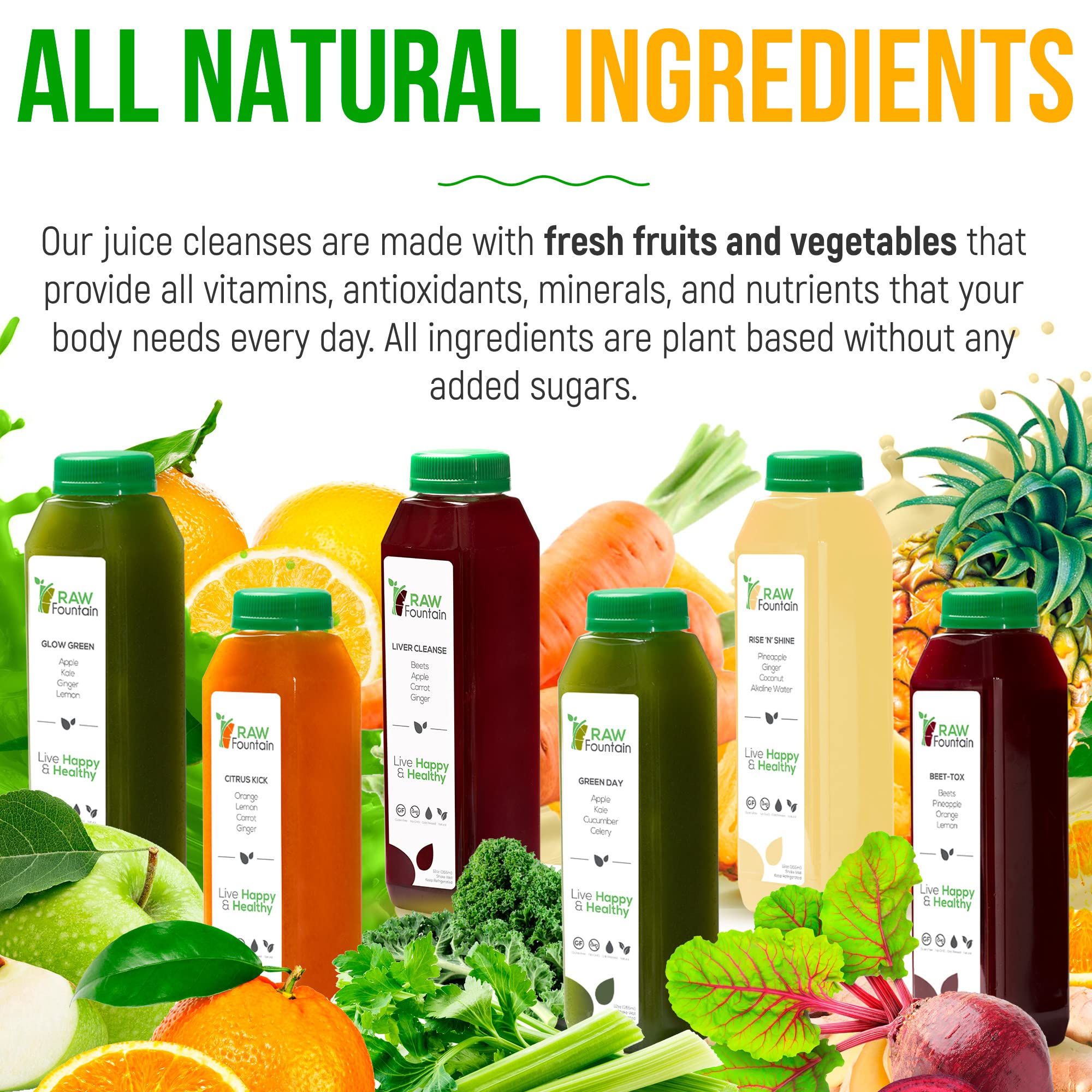 Raw Fountain 1 Day Juice Cleanse, All Natural Detox Cleanse, Cold Presssed Fruit Raw Fountain