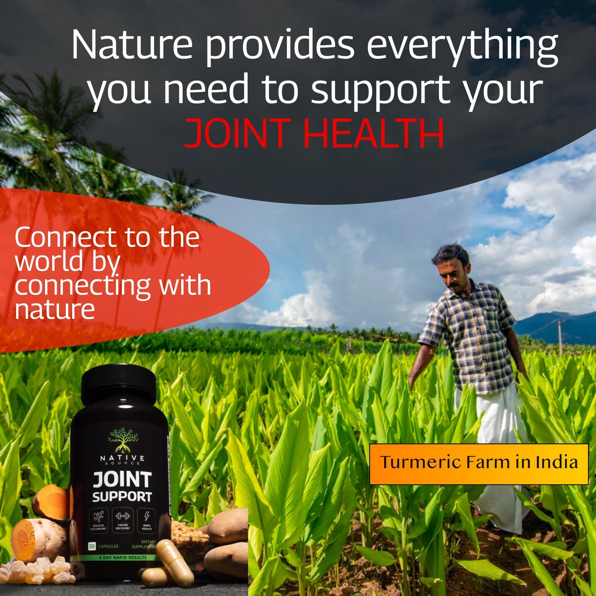 Native Source Joint Support Supplement - Turmeric - Tamarind - Boswellia - Fenugreek Native Source
