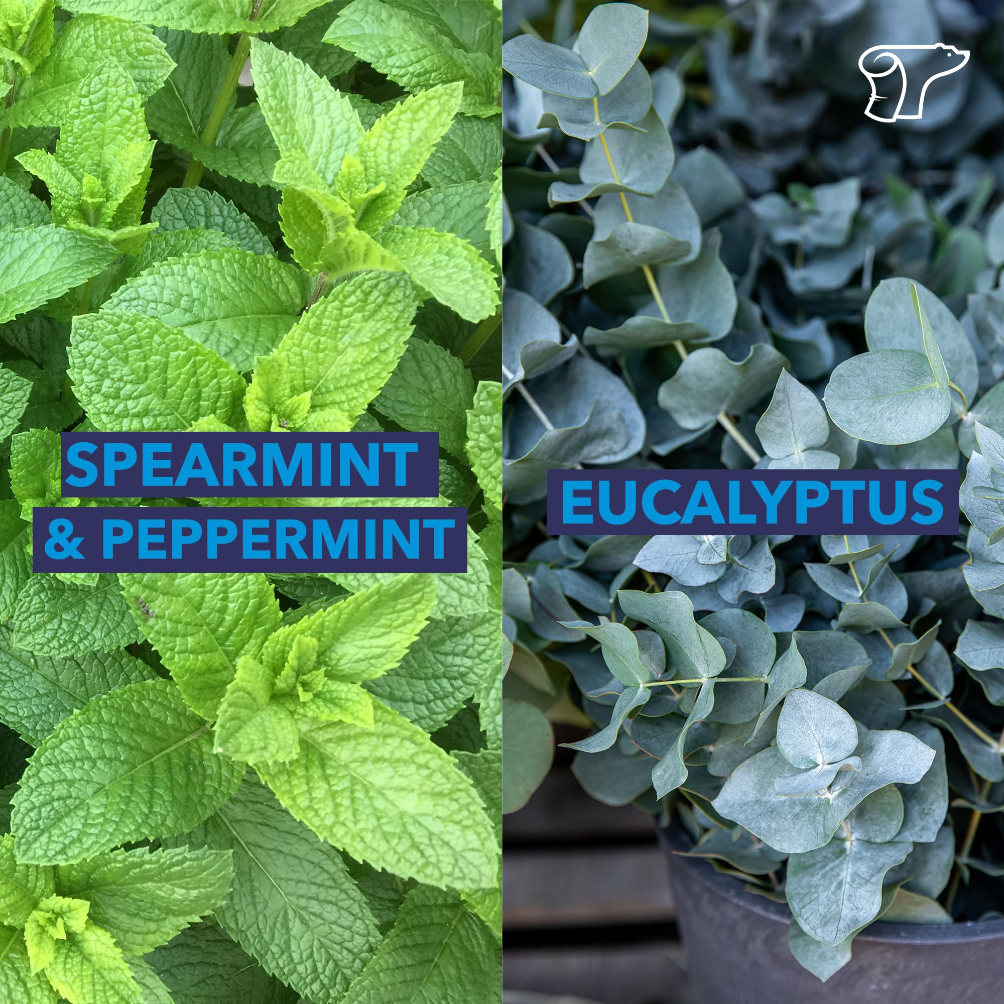 TheraICE Soothing Head Stick 10 ml (.33-Oz) Essential Oil Roll on Aromatherapy TheraICE Rx