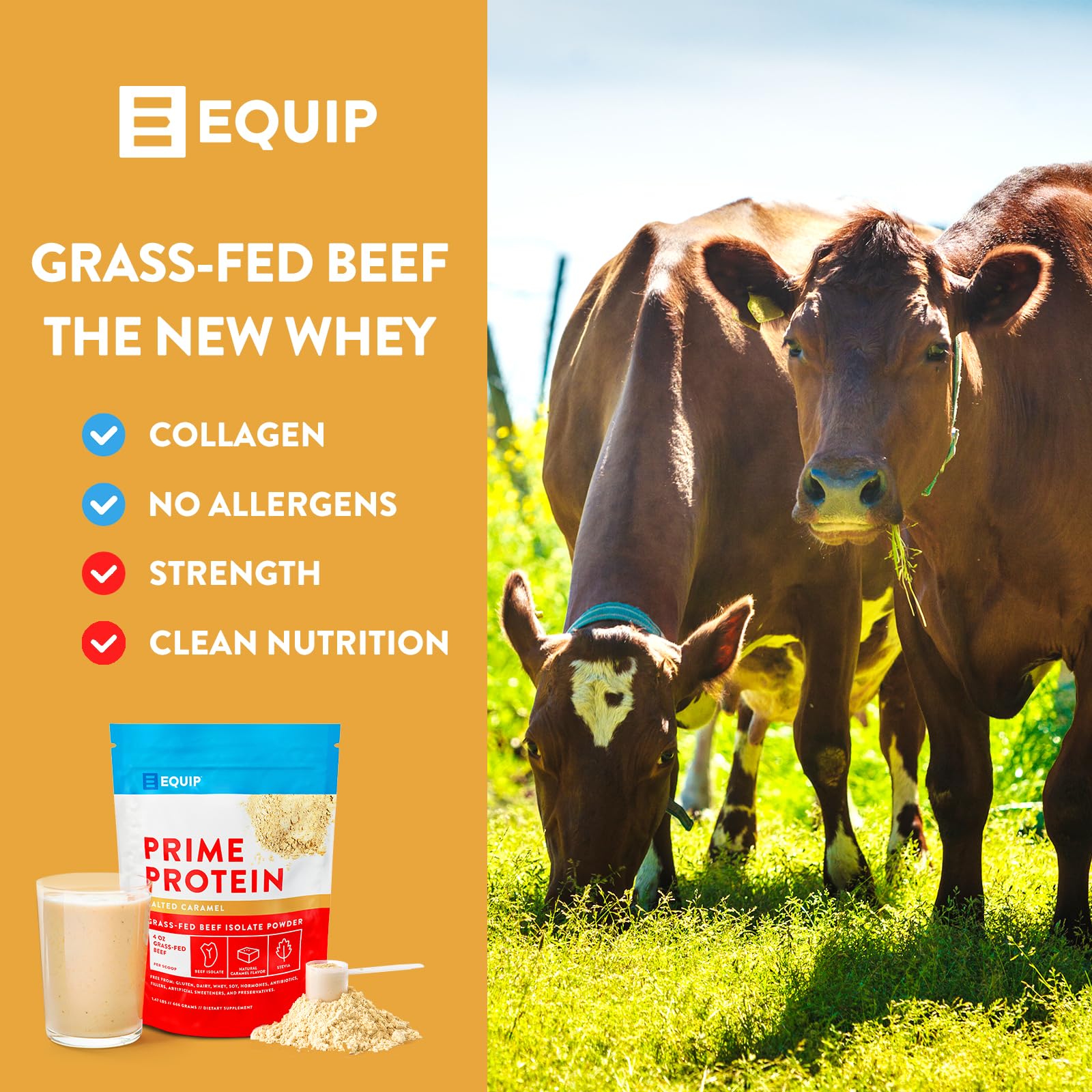 Equip Foods Prime Protein - Grass Fed Beef Protein Powder Isolate - Paleo and Keto Equip