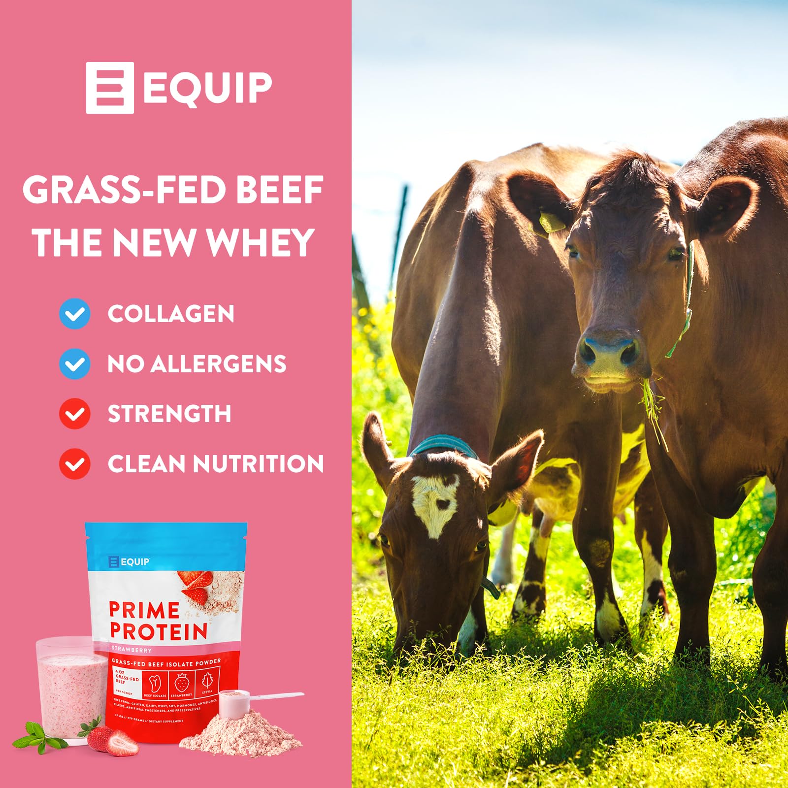Equip Foods Prime Protein - Grass-Fed Beef Protein Powder Isolate -Paleo and Keto Equip