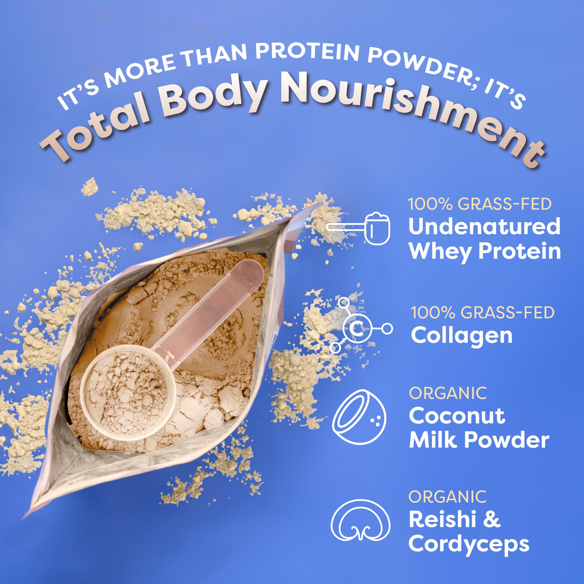 FlavCity Protein Powder Smoothie, Vanilla - 100% Grass-Fed Whey Protein FlavCity