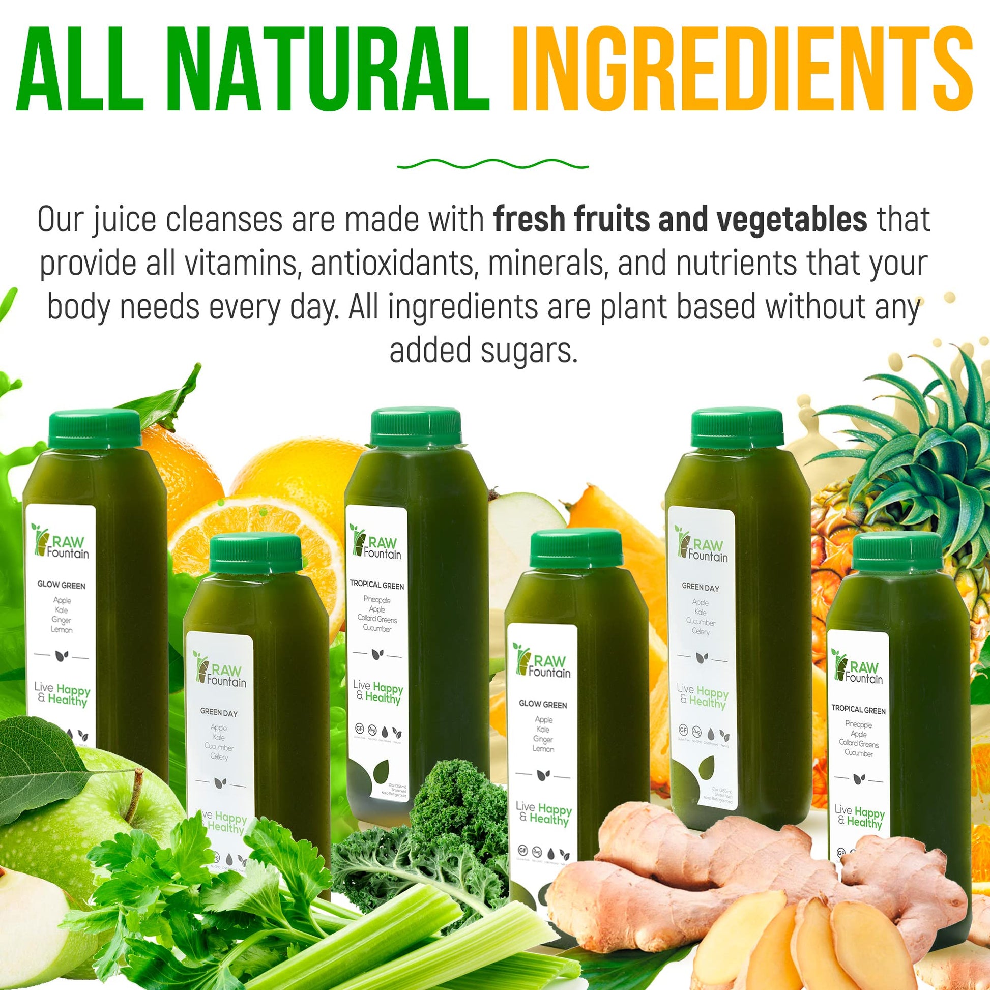Raw Fountain 5 Day Green Juice Cleanse, All Natural Raw, Vegan Detox, Cold Pressed Raw Fountain