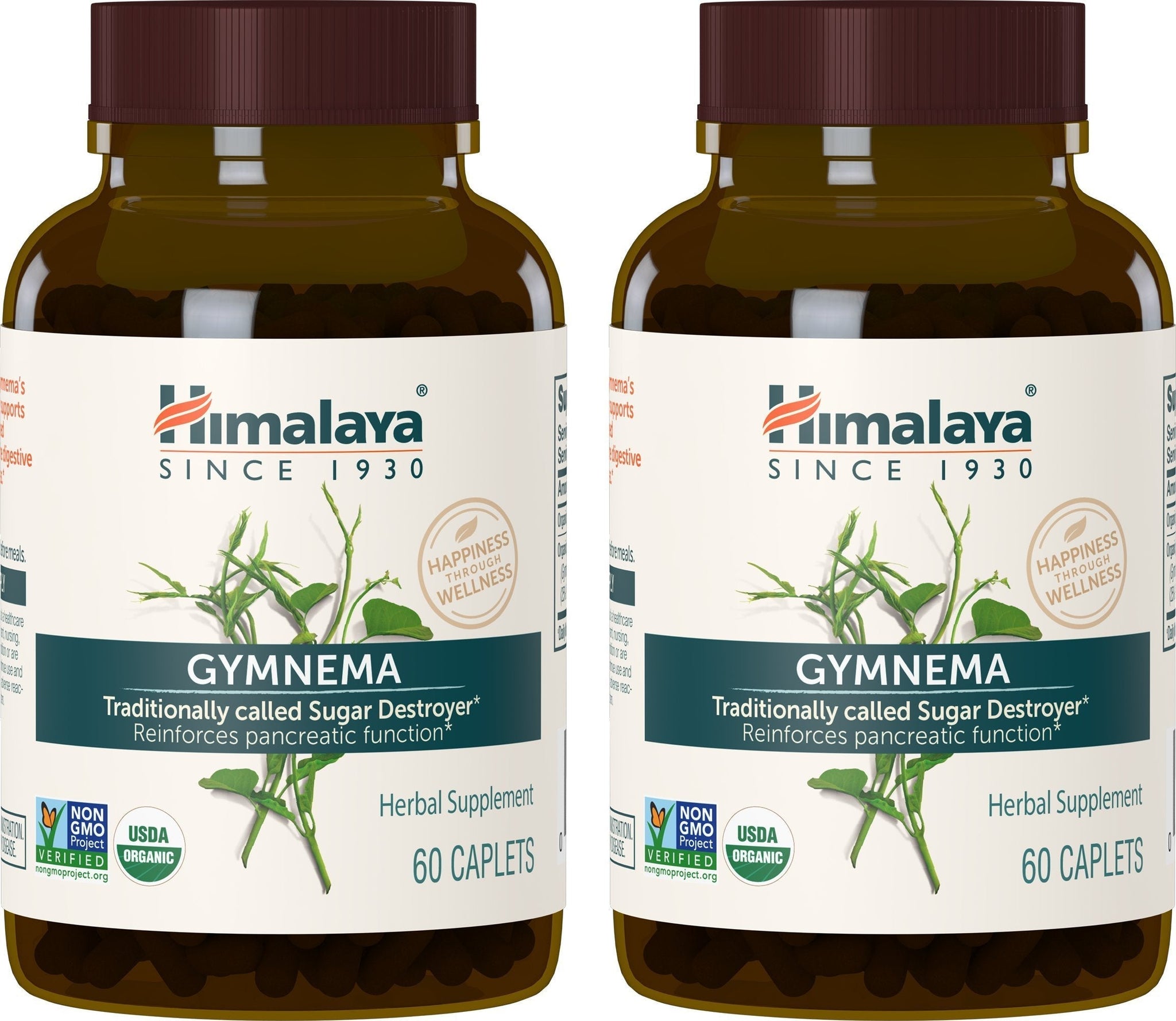 Himalaya Organic Gymnema Sylvestre for Glucose Metabolism, 700 mg Himalaya