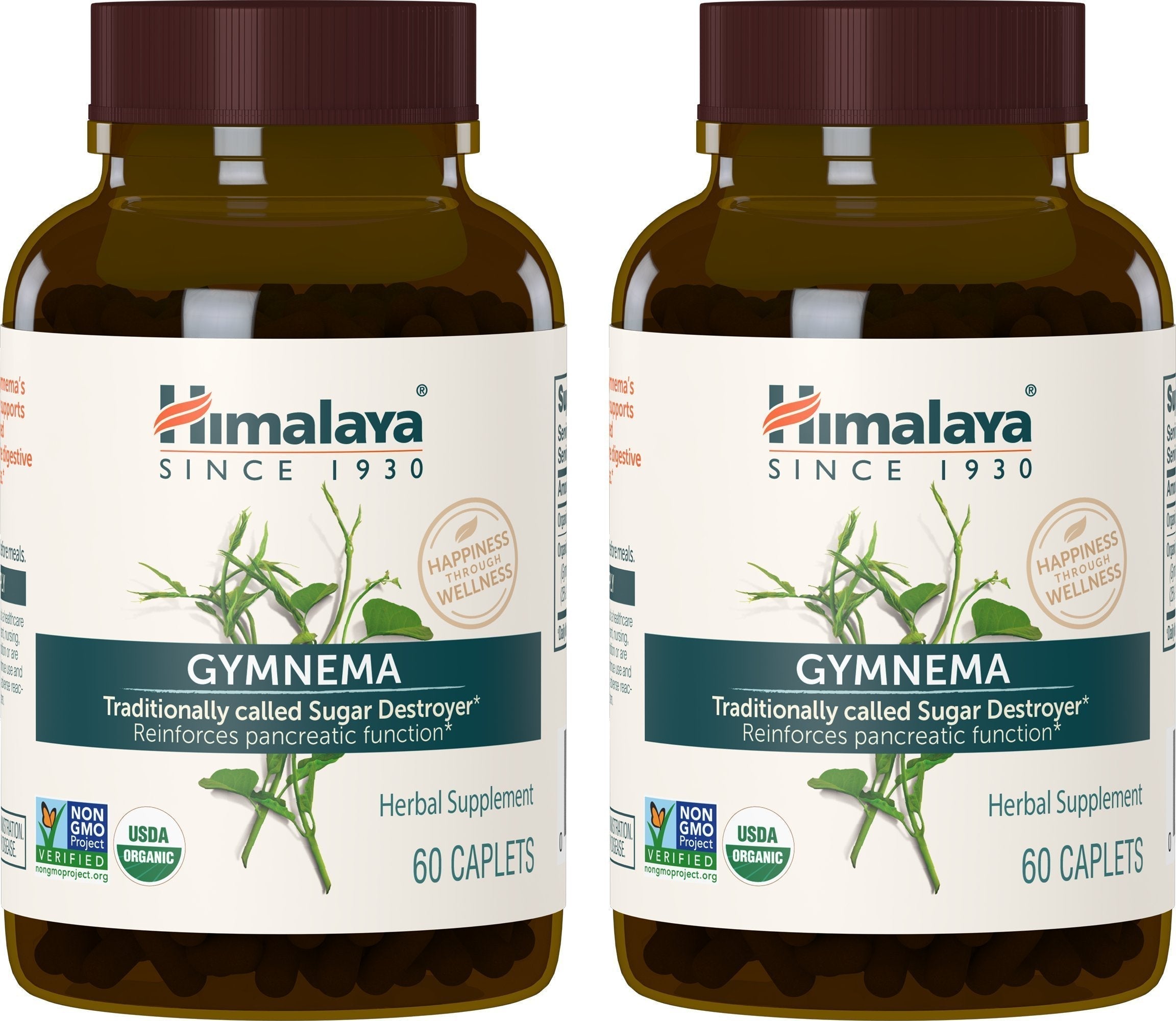 Himalaya Organic Gymnema Sylvestre for Glucose Metabolism, 700 mg Himalaya