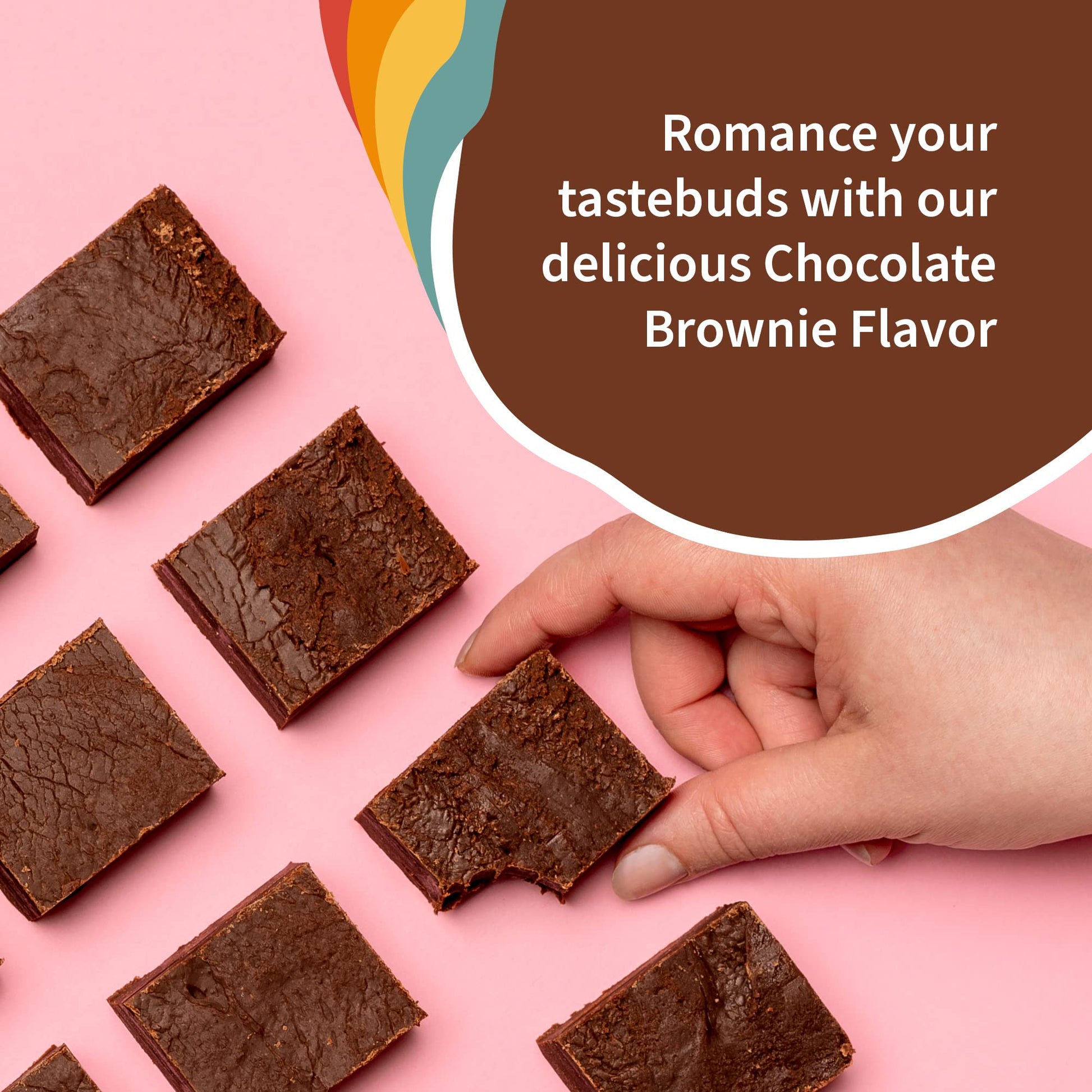 Garden of Life Creamy Organic Vegan Protein Powder + OatMilk, 20g Complete Plant Garden of Life