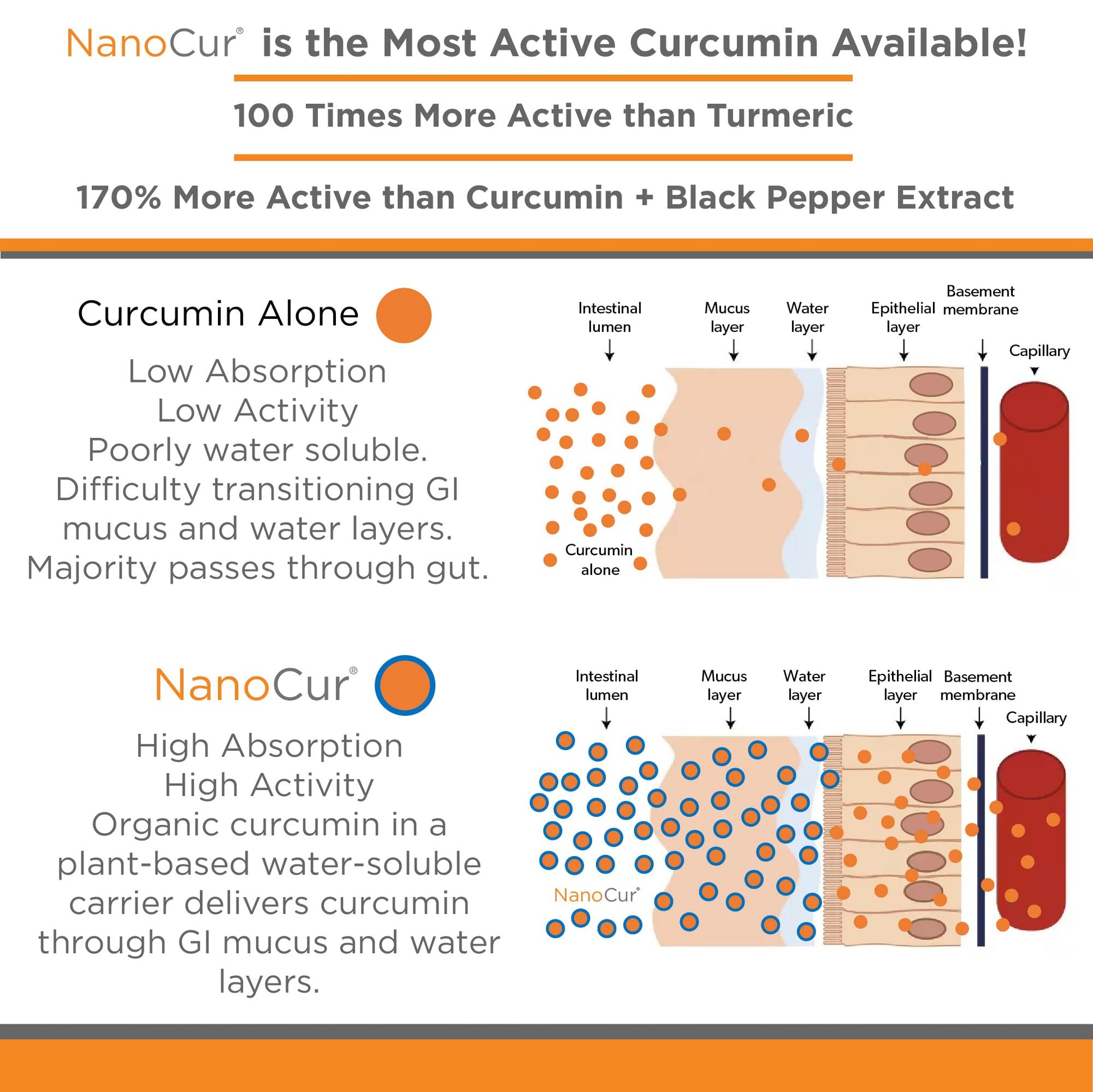 Nanocur Turmeric Curcumin - 100x More Active Than Turmeric, 170% More Active Than Nanocur