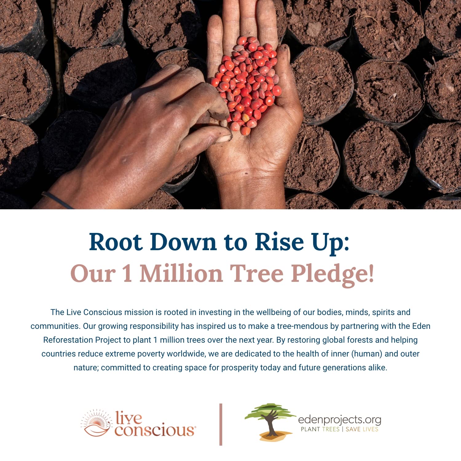 Live Conscious Beyond Collagen Multi Collagen Powder for Women w/Types I, II, III, V & X Live Conscious