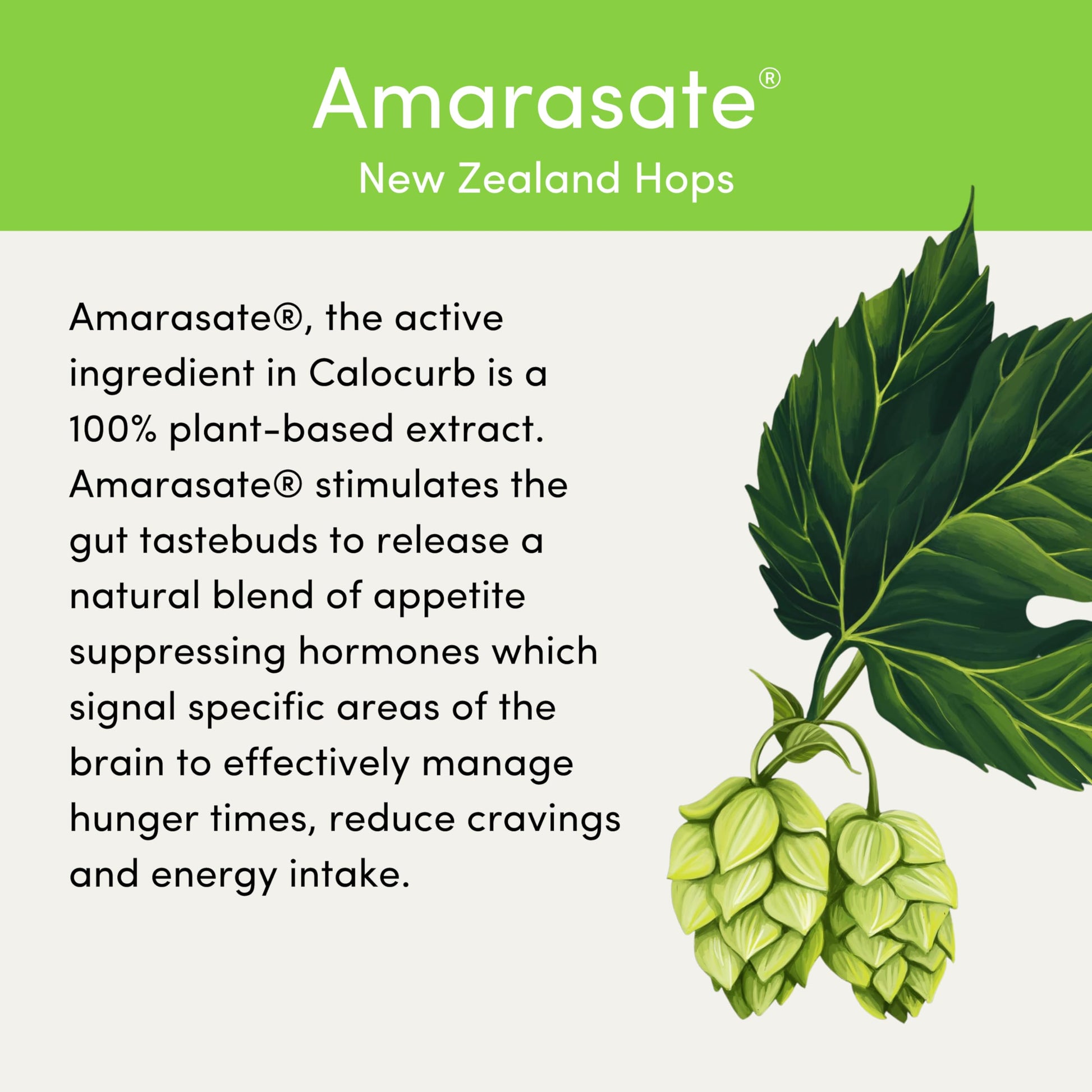 Calocurb Calorie Control Supplement, Natural GLP-1 Activator, 90 Count (1 Month Average Calocurb