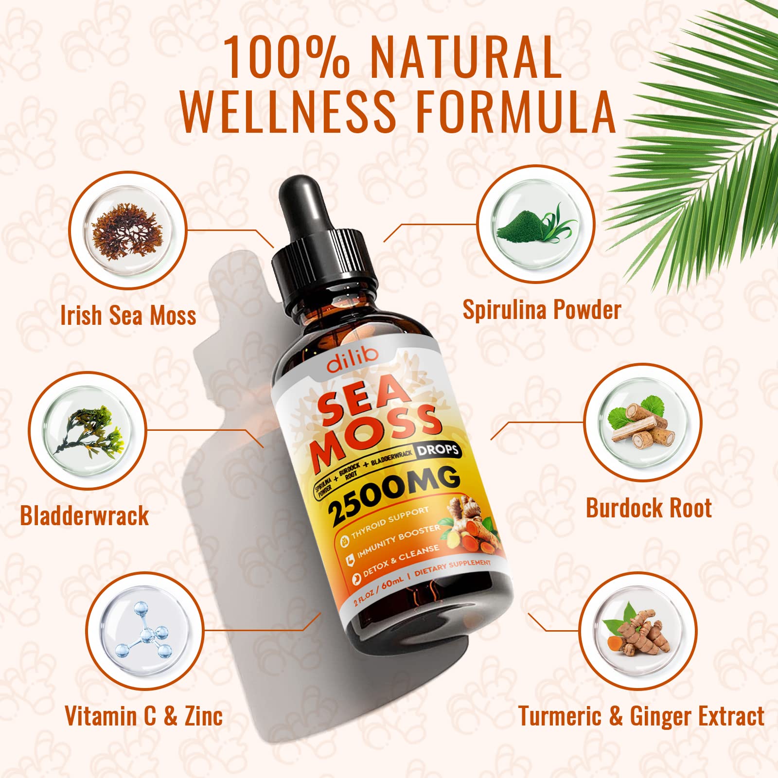 Sea Moss Liquid Drops: Organic Irish Sea Moss 2500mg with Turmeric, Bladderwrack dilib