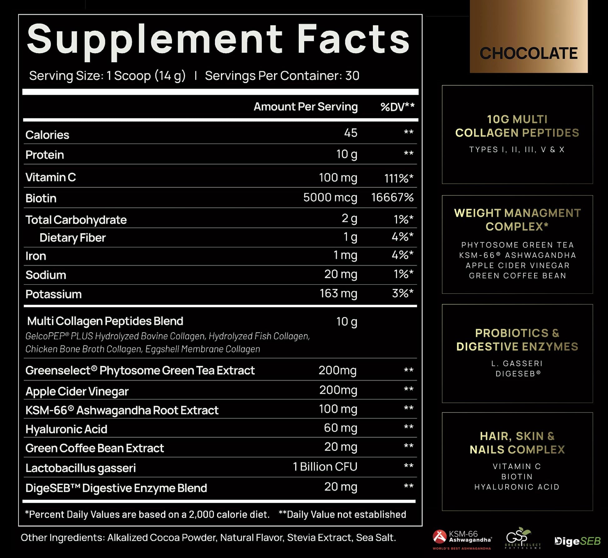 TERRA ELMNT Premium Chocolate Multi Collagen Powder for Women Weight Management TERRA ELMNT