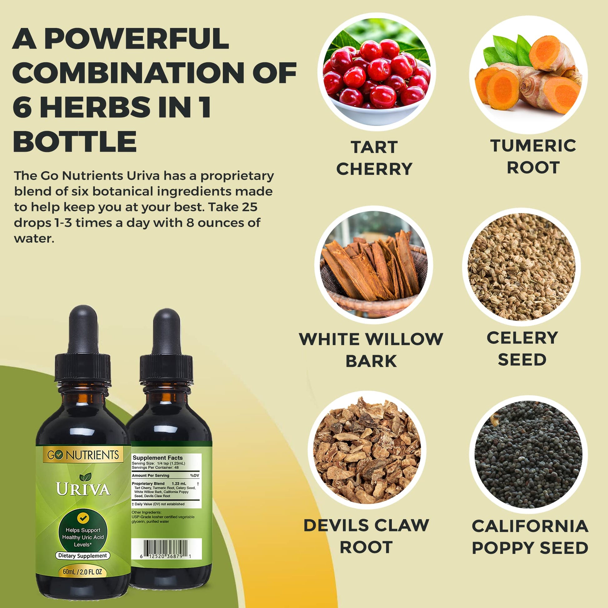 Go Nutrients Uriva Advanced Uric Acid Flush Cleanse with Tart Cherry Extract Celery Seed Extract Turmeric Go Nutrients