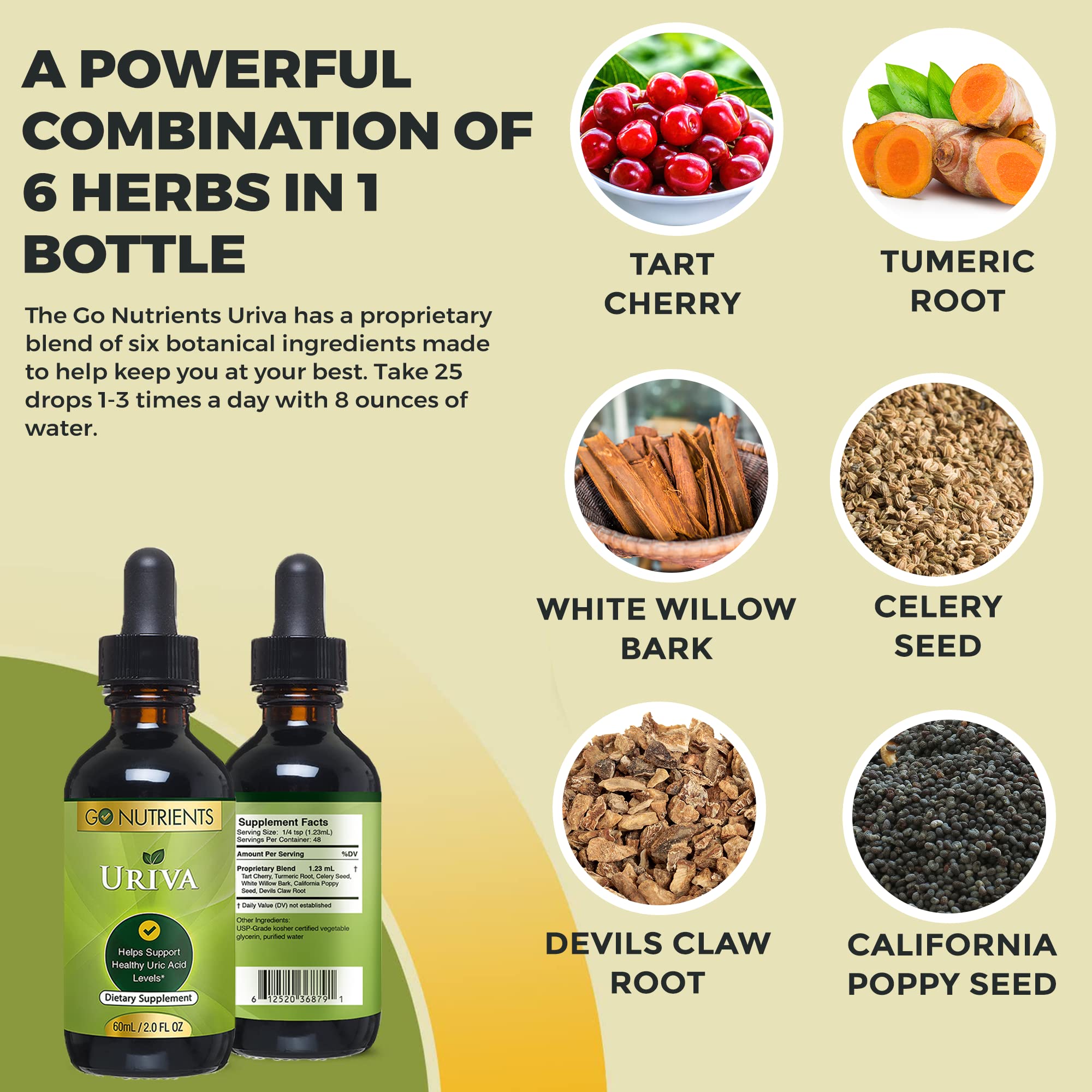 Go Nutrients Uriva Advanced Uric Acid Flush Cleanse with Tart Cherry Extract Celery Seed Extract Turmeric Go Nutrients