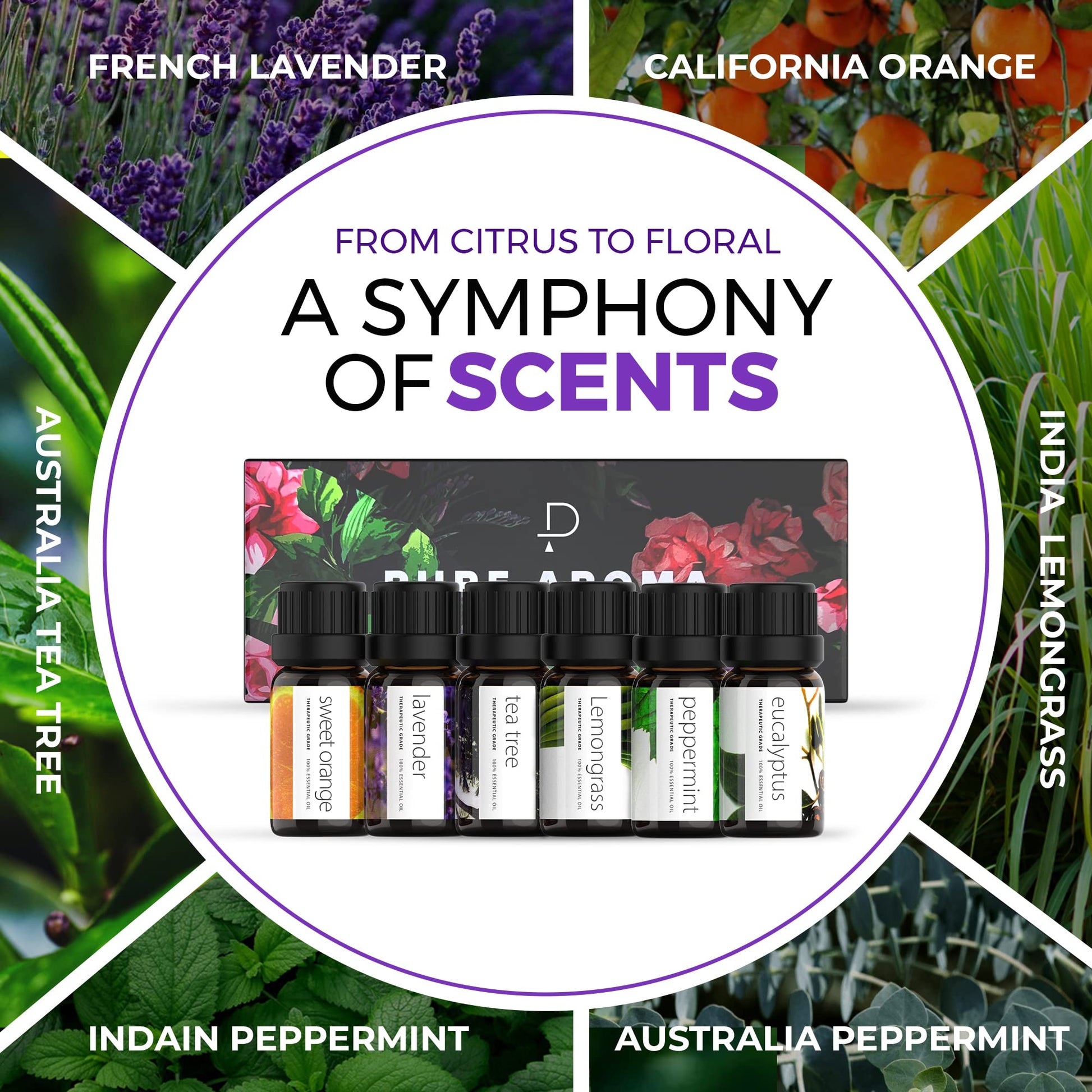 Essential Oils by PURE AROMA 100% Pure Oils kit- Top 6 Aromatherapy Oils Gift Set-6 Pack, 10ML Pure Aroma