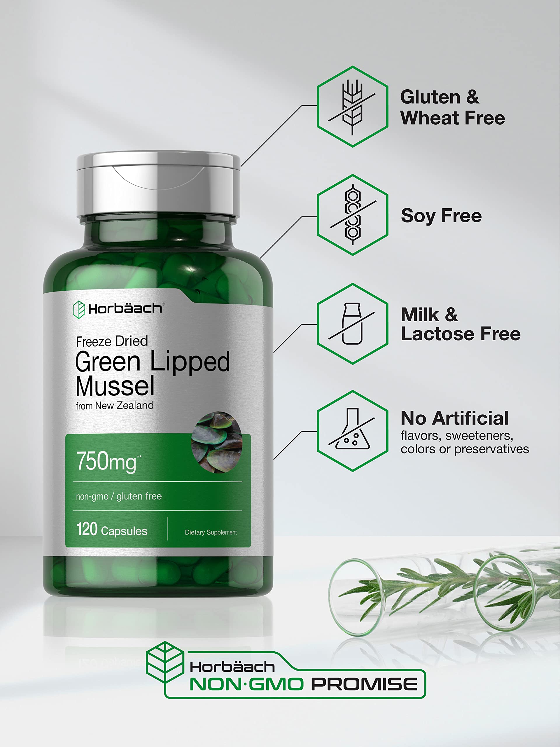 Green Lipped Mussel | 750 mg | 120 Capsules | from New Zealand | Premium Freeze Dried Horbäach