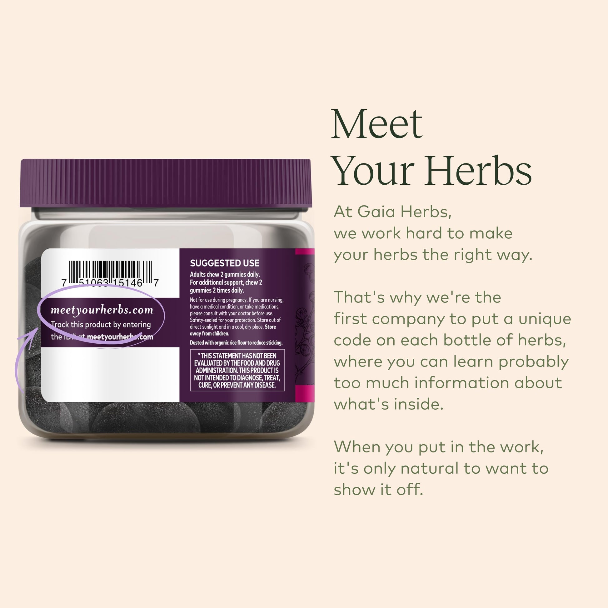 Gaia Herbs Black Elderberry (Sambucus Nigra) Extra Strength Gummies Gaia Herbs