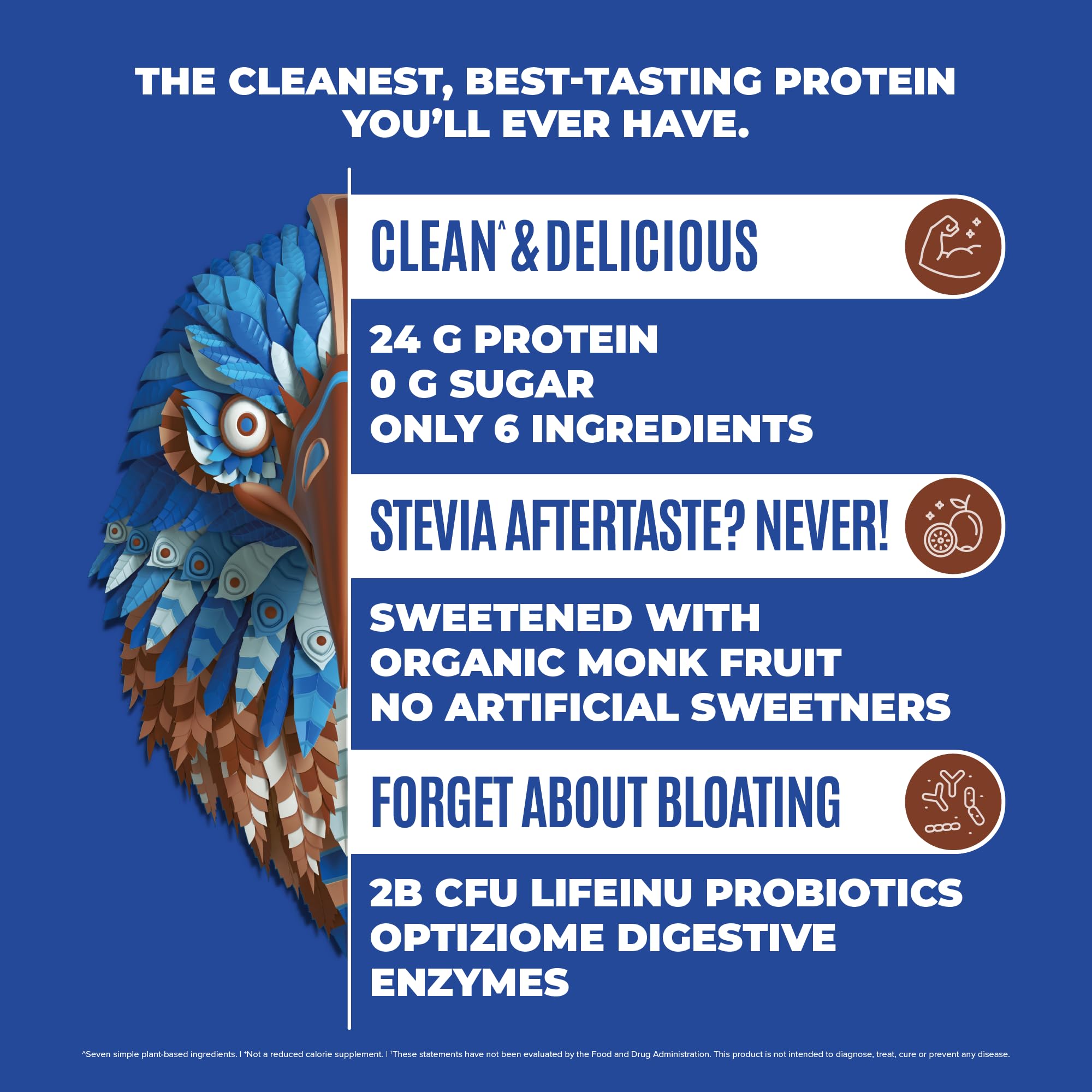 BIRDMAN Falcon Vegan Protein Powder Organic, Stevia & Sugar Free, Plant Based Protein BIRDMAN